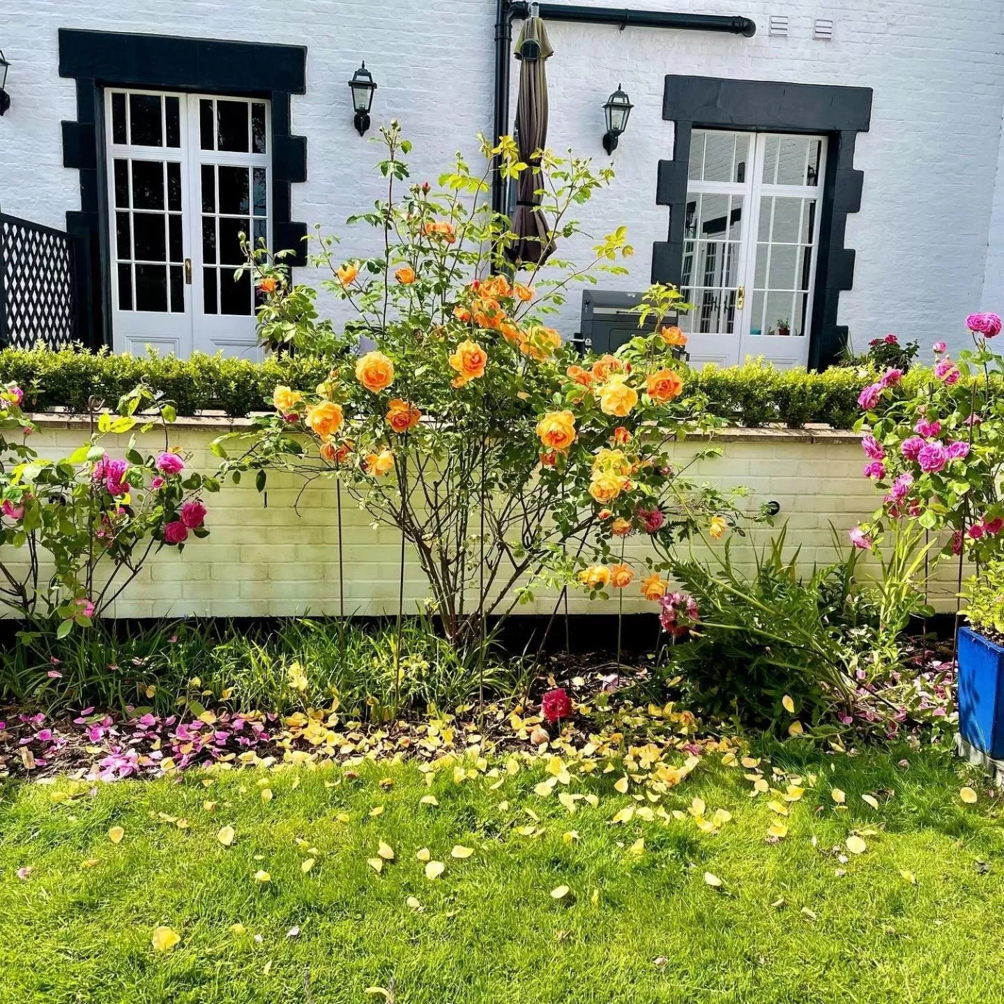 Garden in Eagle House - Award Winning B&B and Apartment