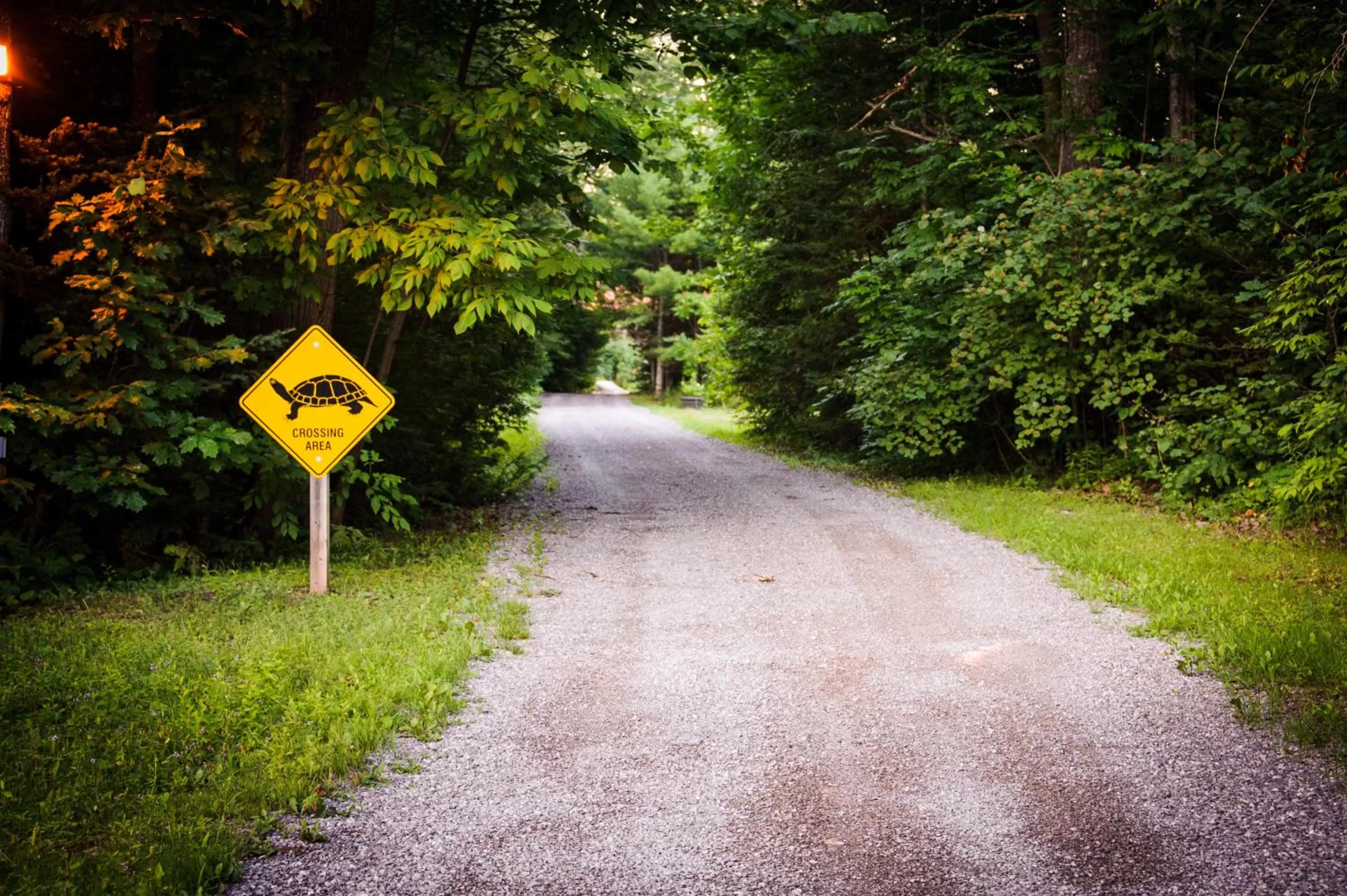 Facade/entrance in Shambhala Bed and Breakfast
