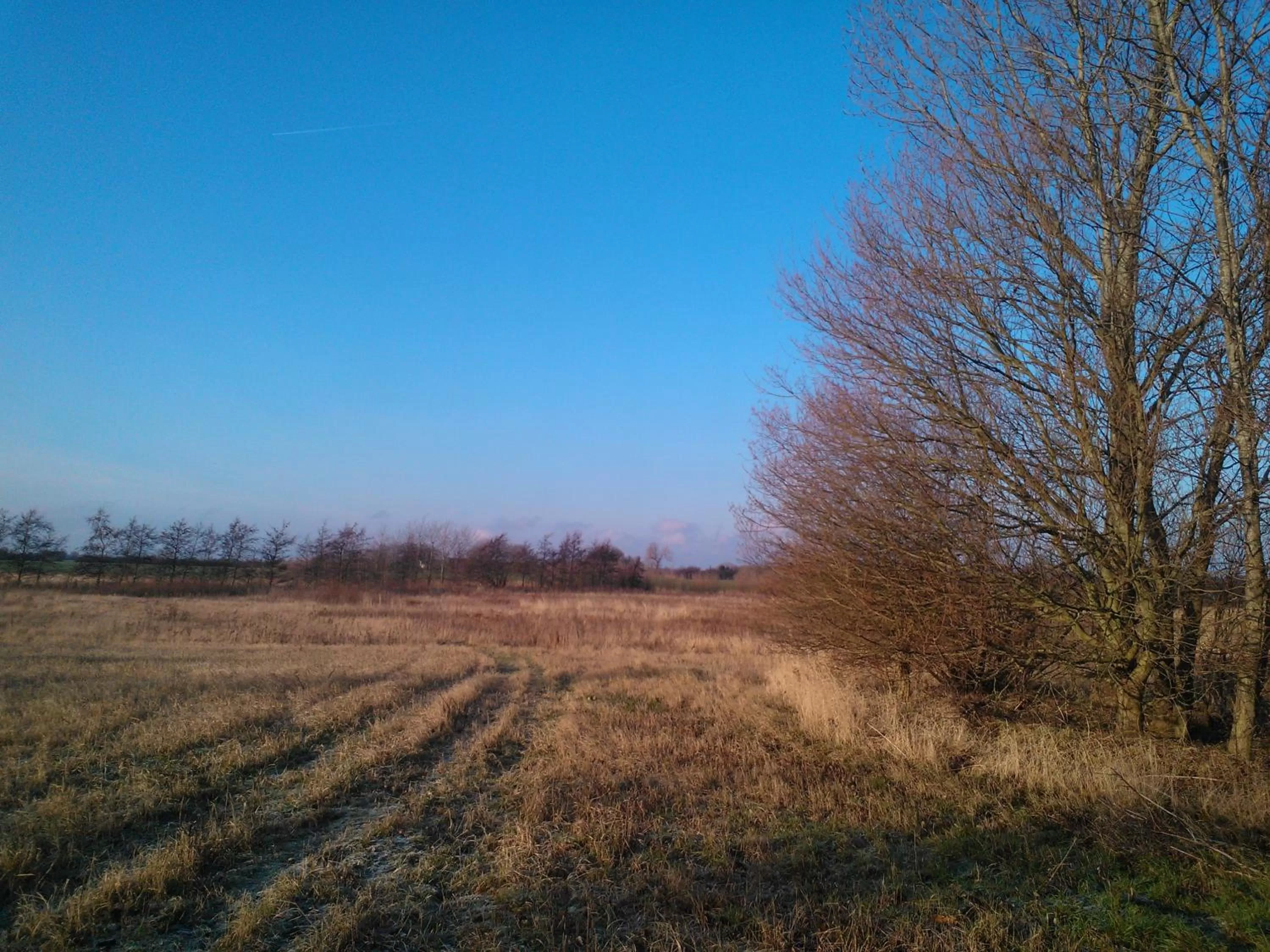 Natural Landscape in Holmehuset Bed & Breakfast