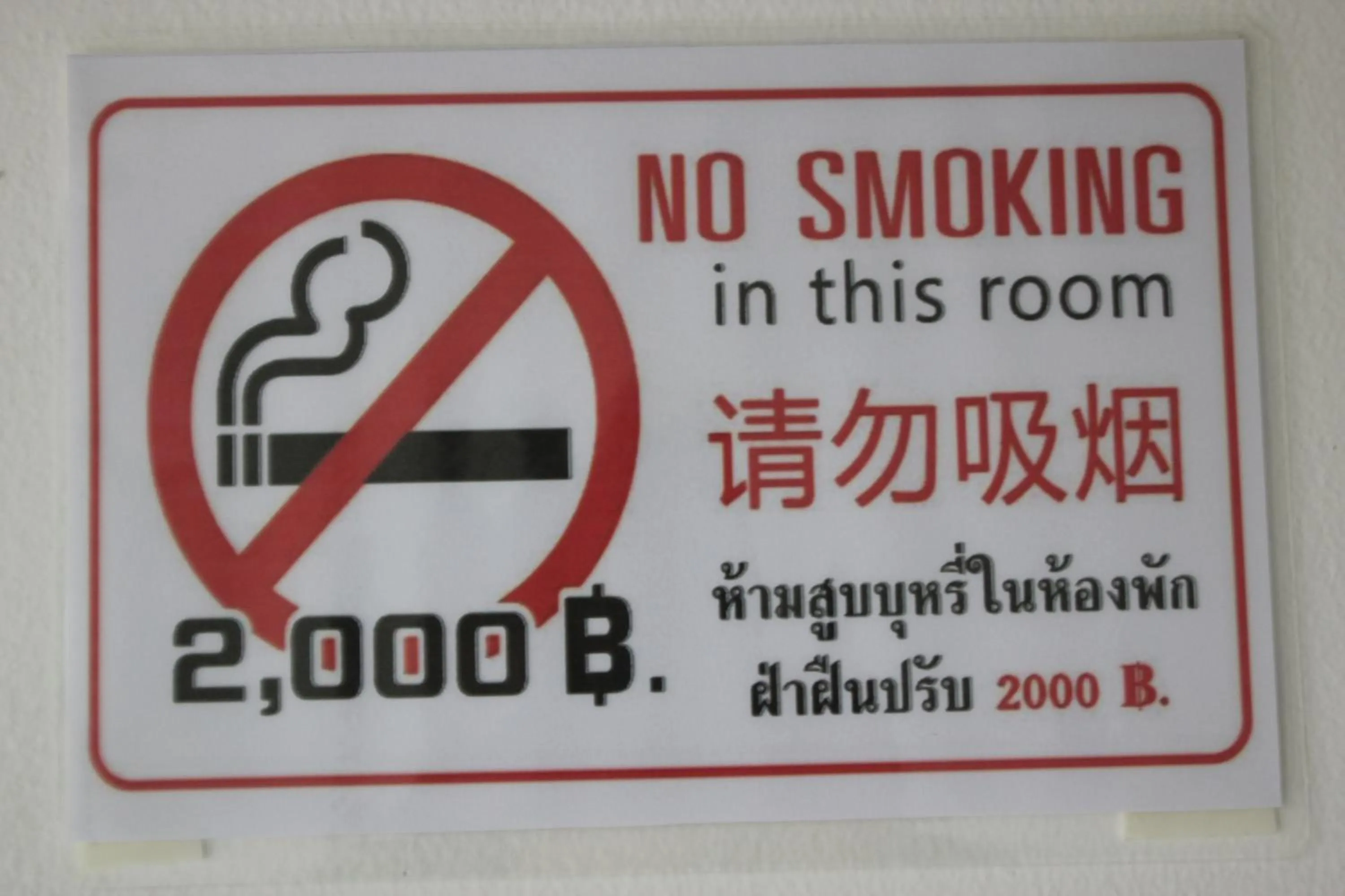 Activities in 1715 House - White Rhino