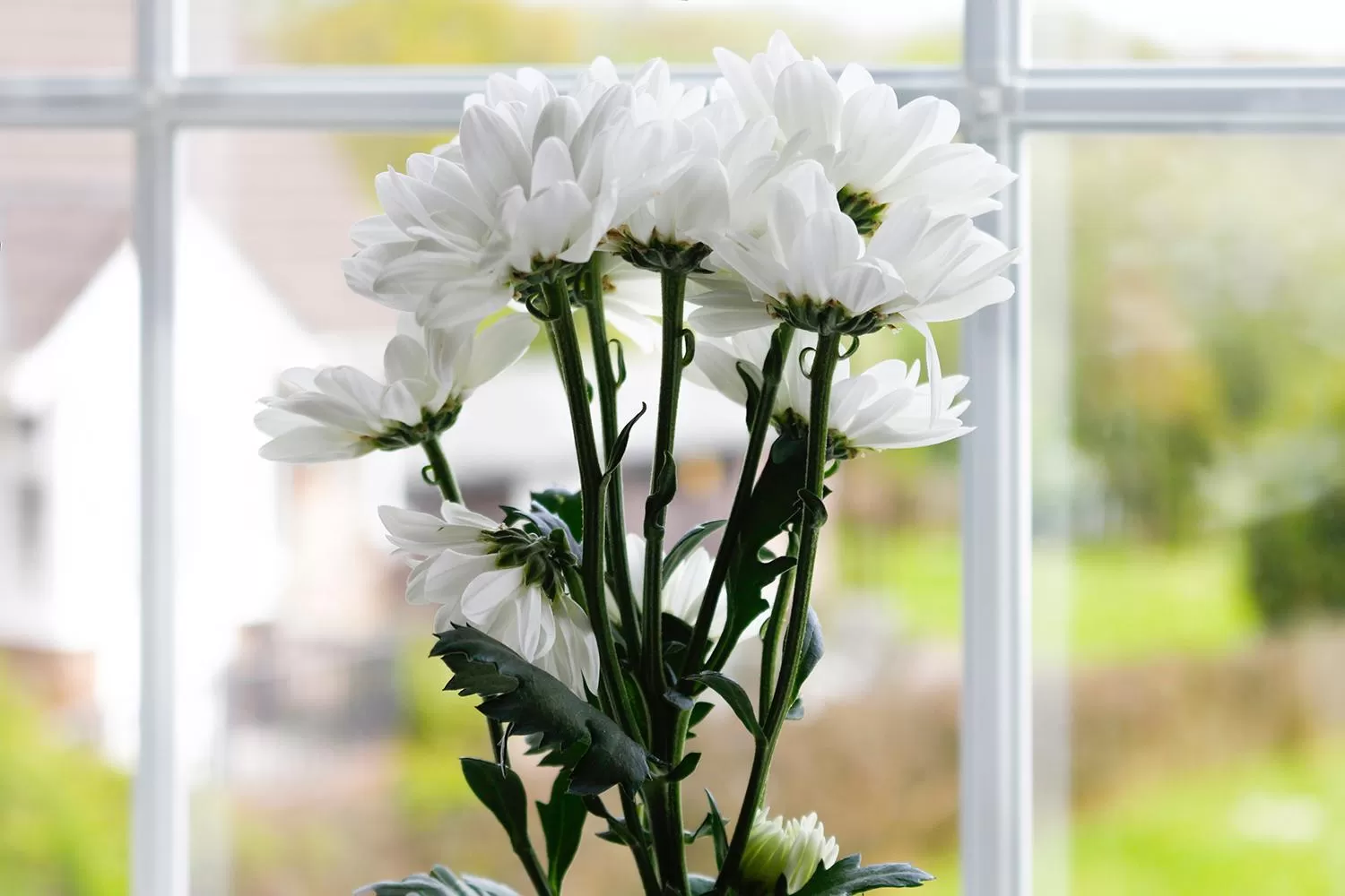 Decorative detail in Leworthy Farmhouse Bed and Breakfast