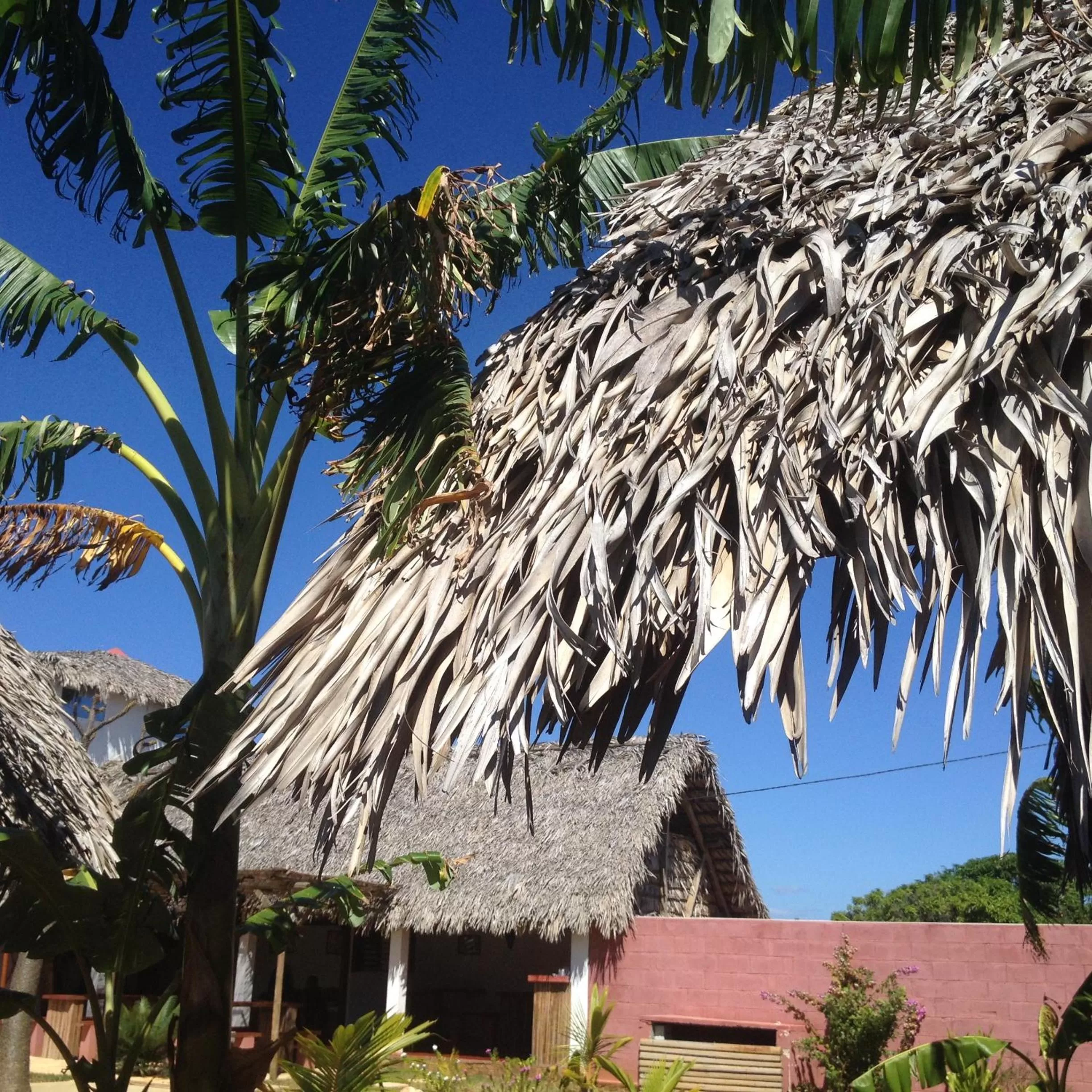 Garden in Le Trou Normand