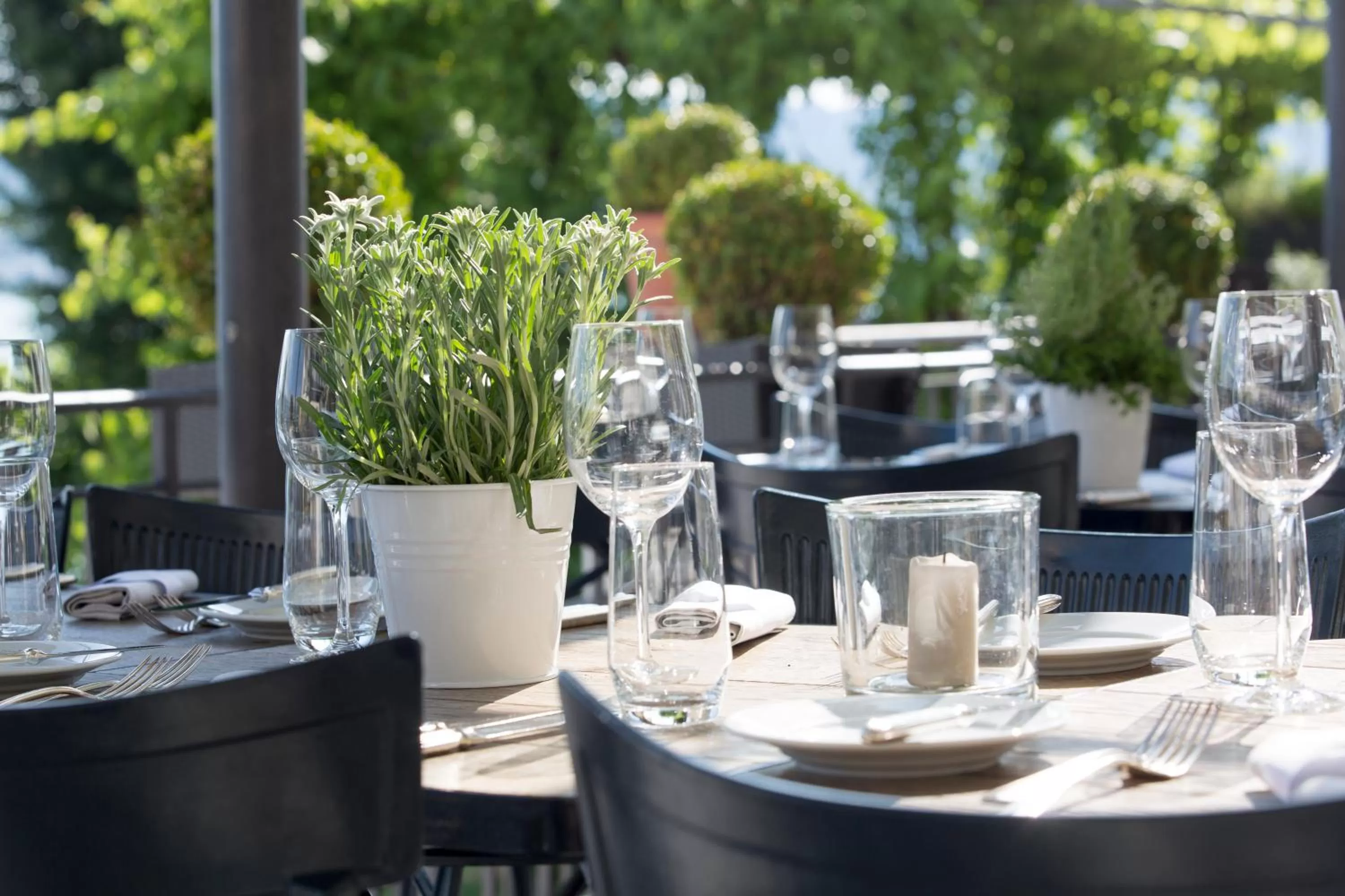 Lunch in Hotel Hirschen am See