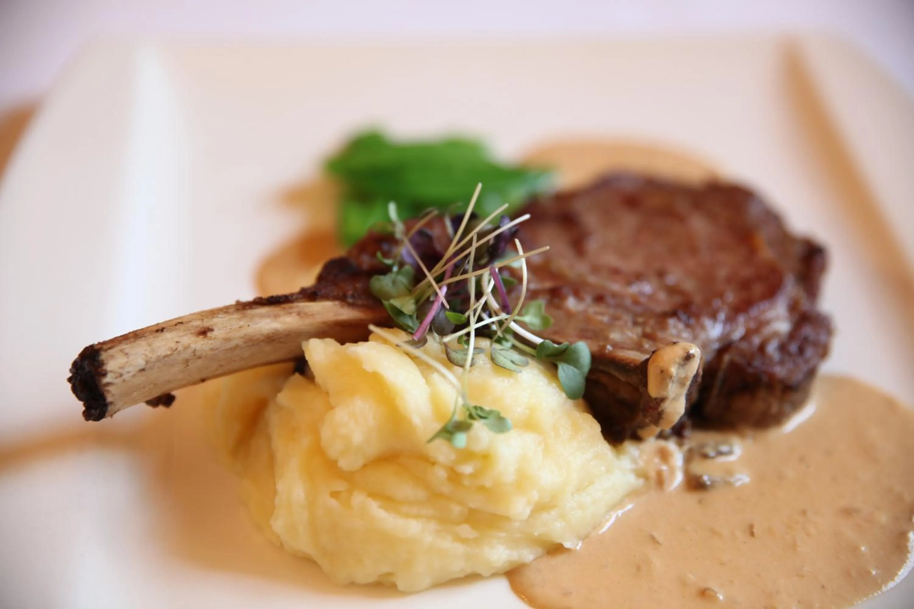 Restaurant/places to eat in Hotel Pod Věží