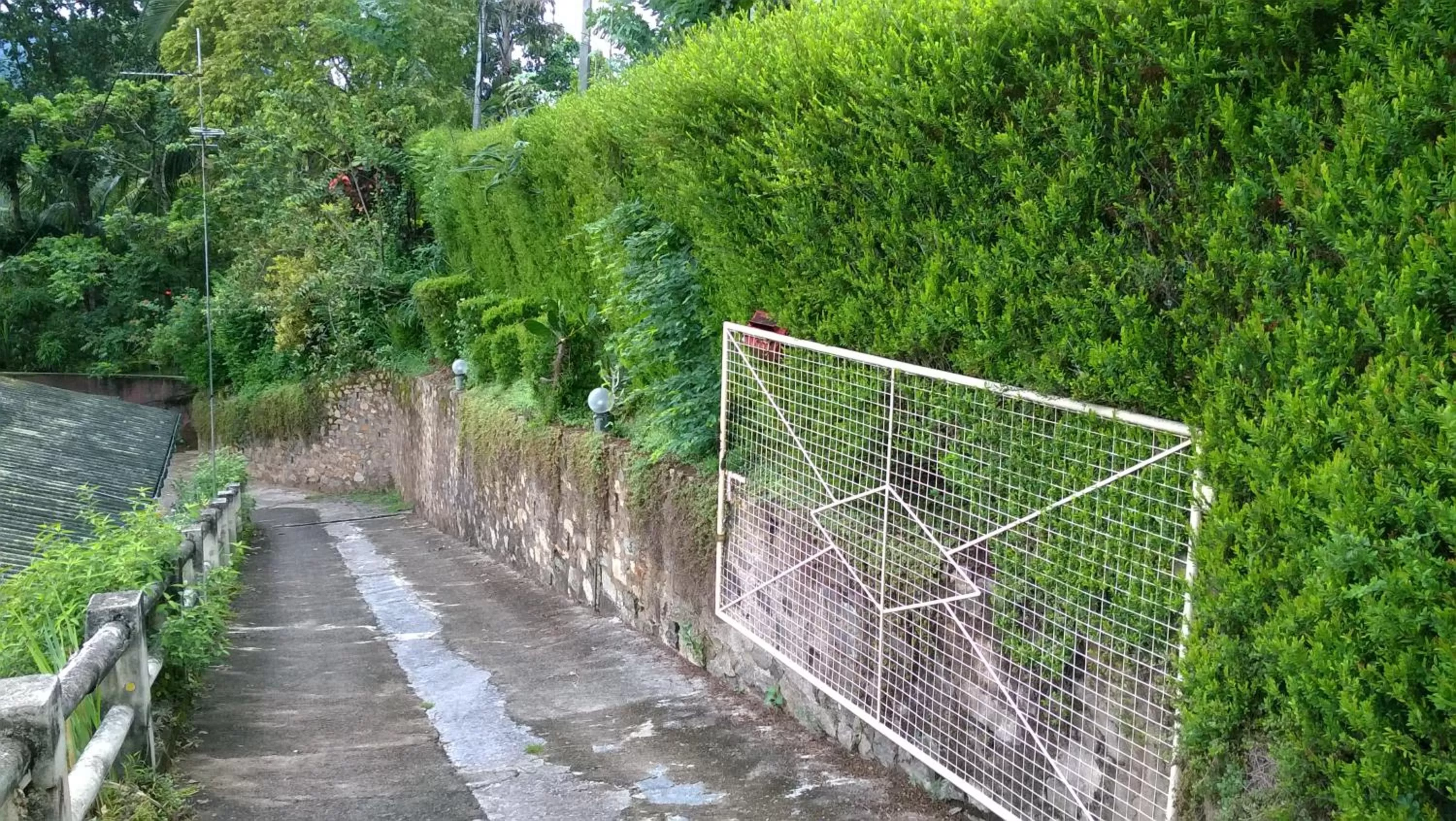 Facade/entrance, Other Activities in Evergreen