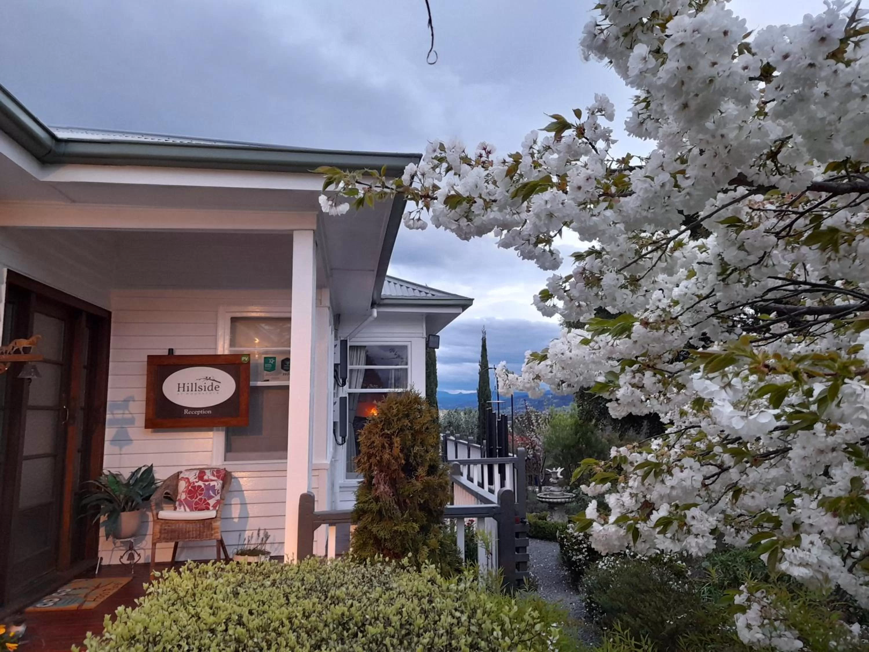 Hillside Bed and Breakfast