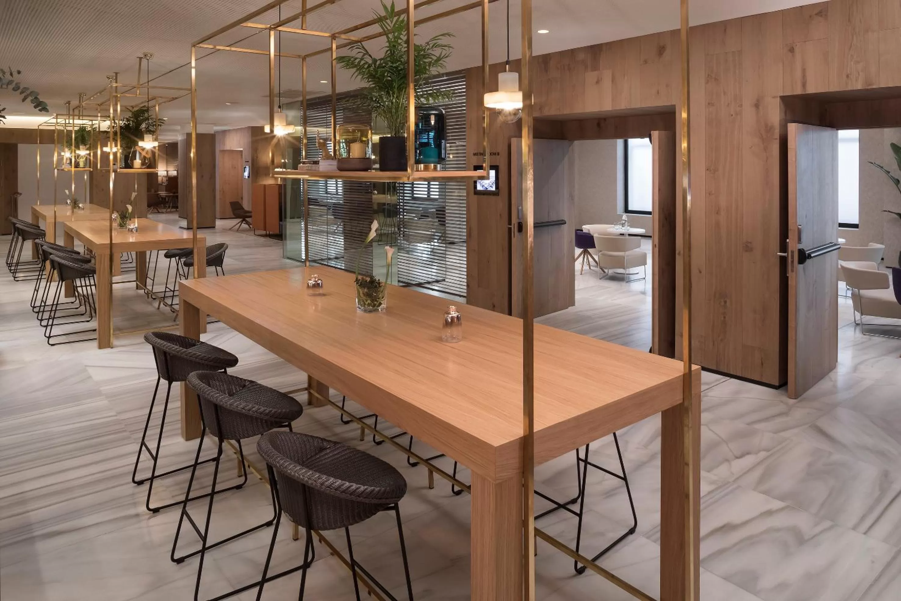 Business facilities in Melia Madrid Serrano