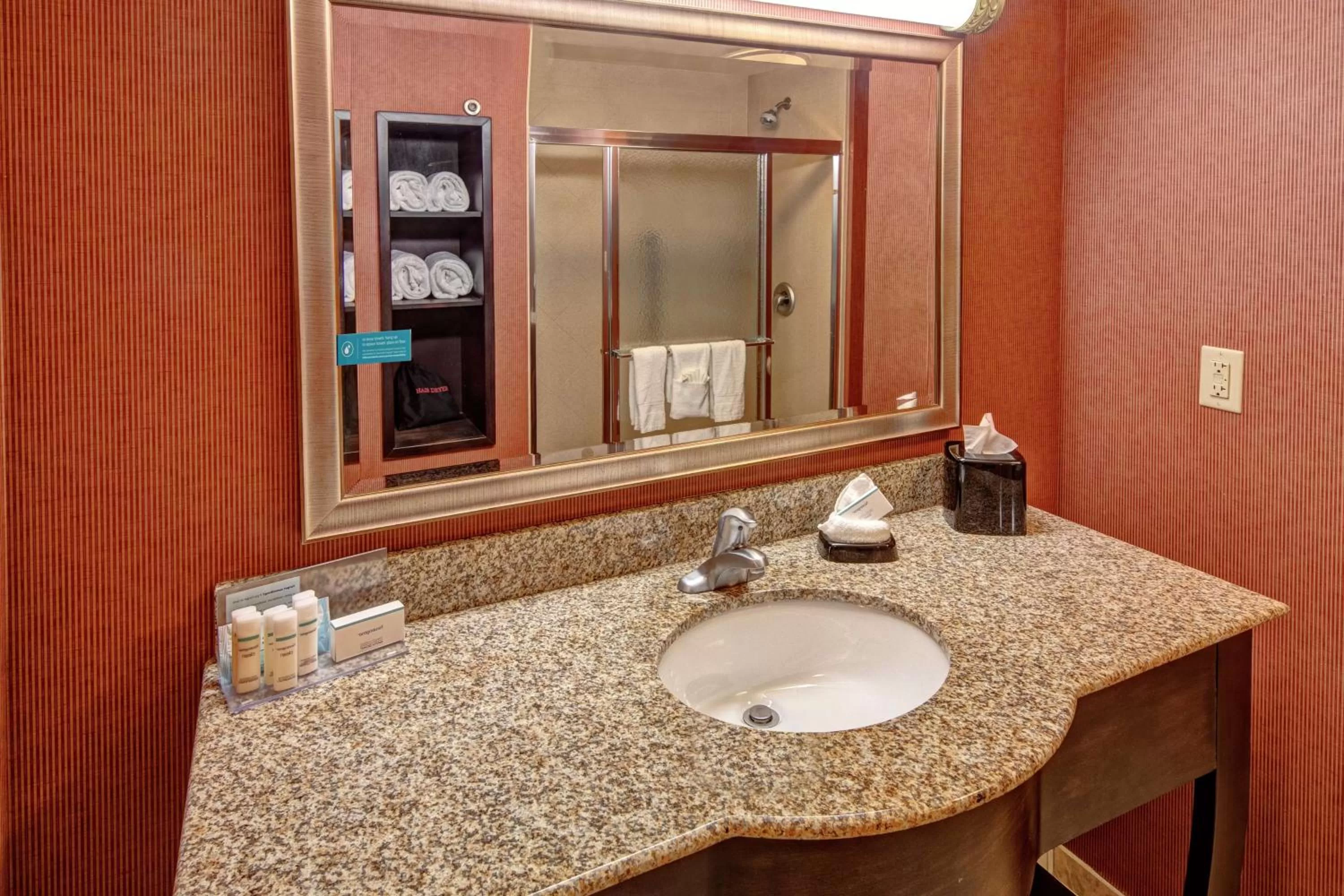 Bathroom in Hampton Inn Jacksonville