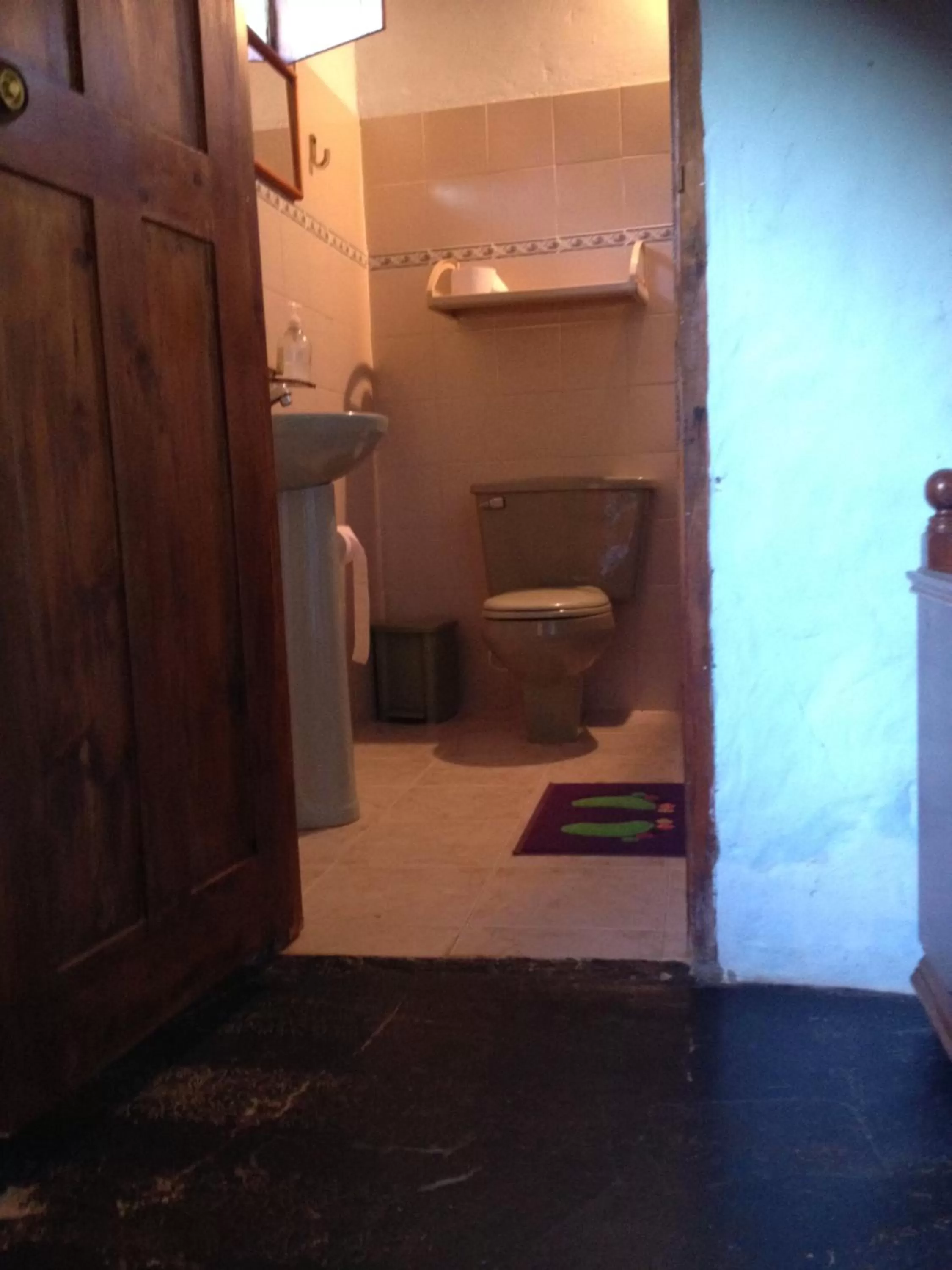 Bathroom in Casa finca típica the lake hotel