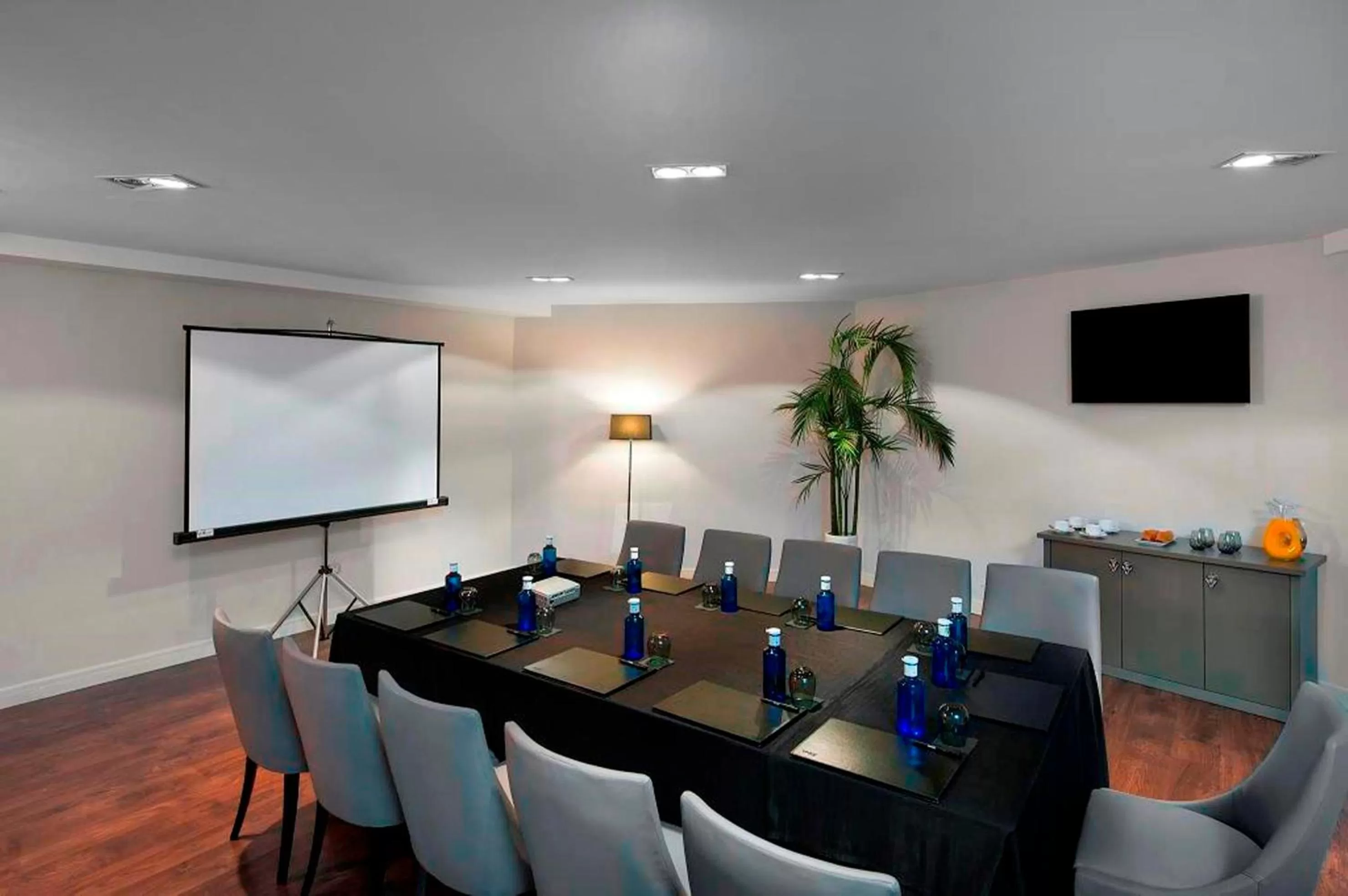 Other in Hotel Sardinero Madrid