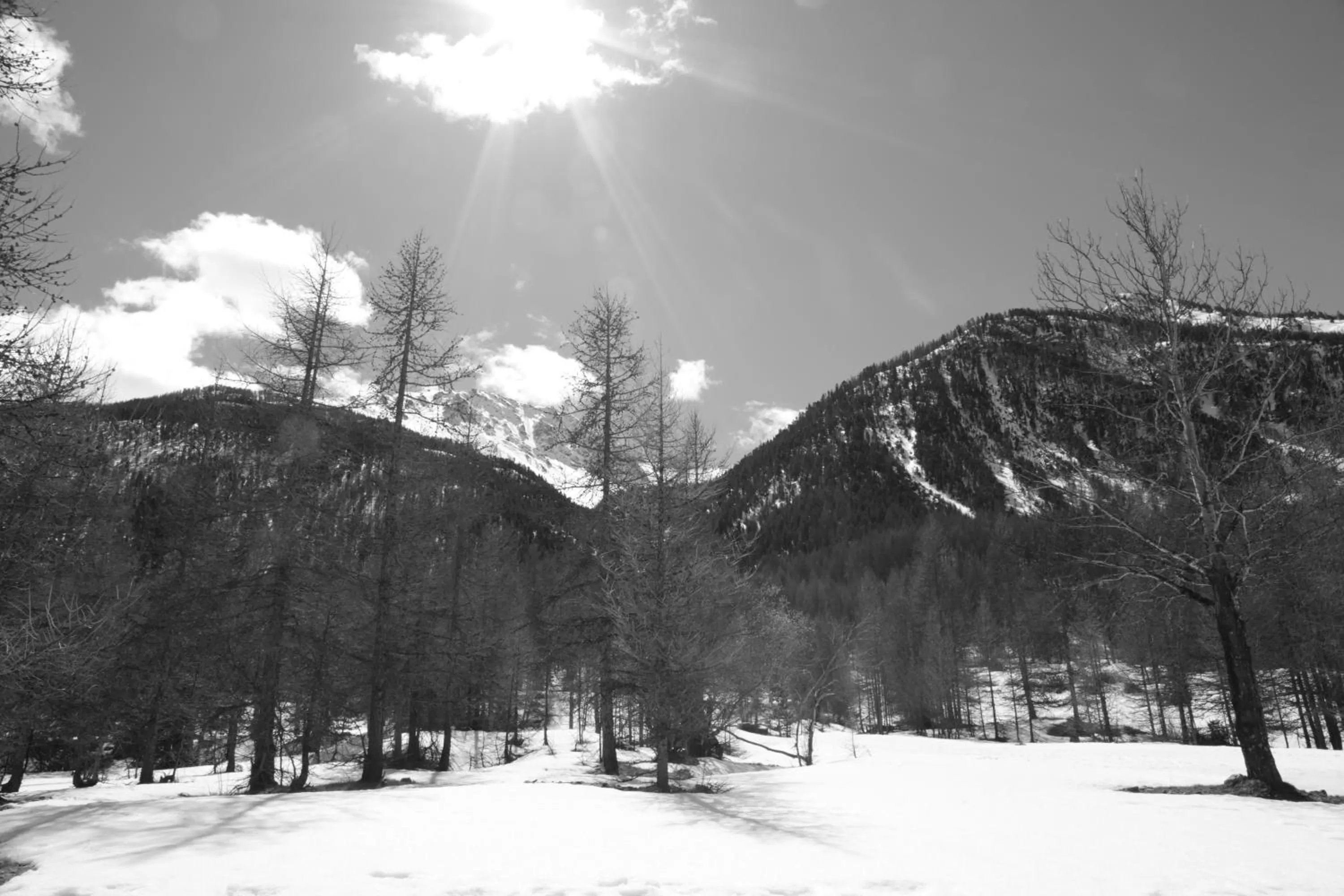 View (from property/room) in Auberge de la Paix