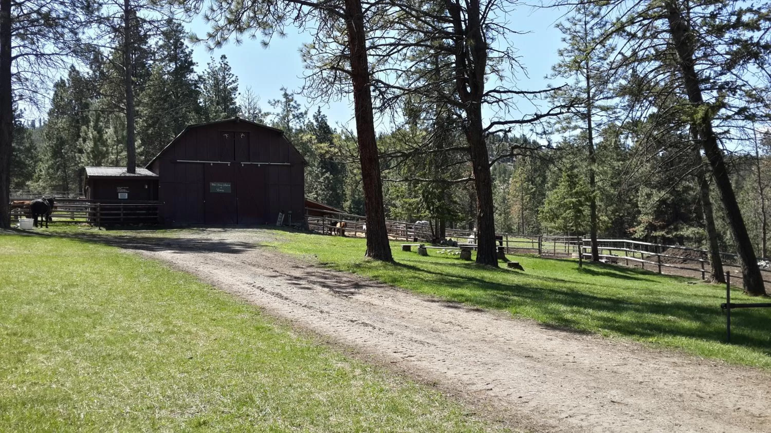 Horse-riding in Lonesome Dove Ranch