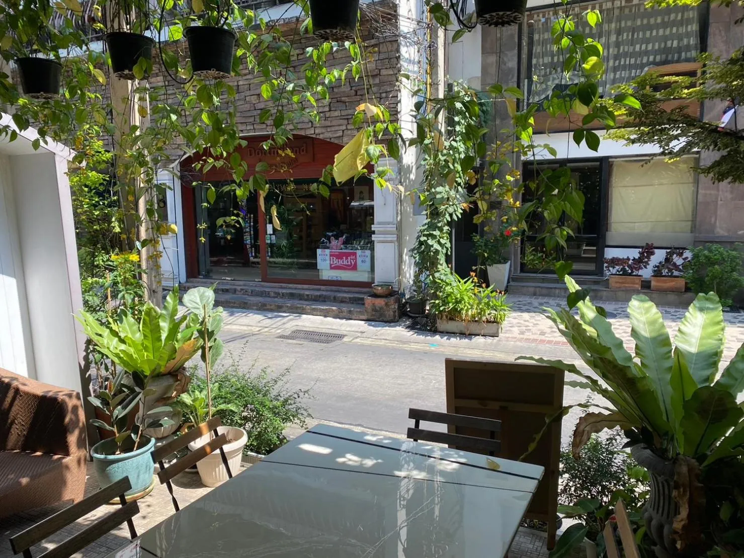 Garden in Good Day Hostel