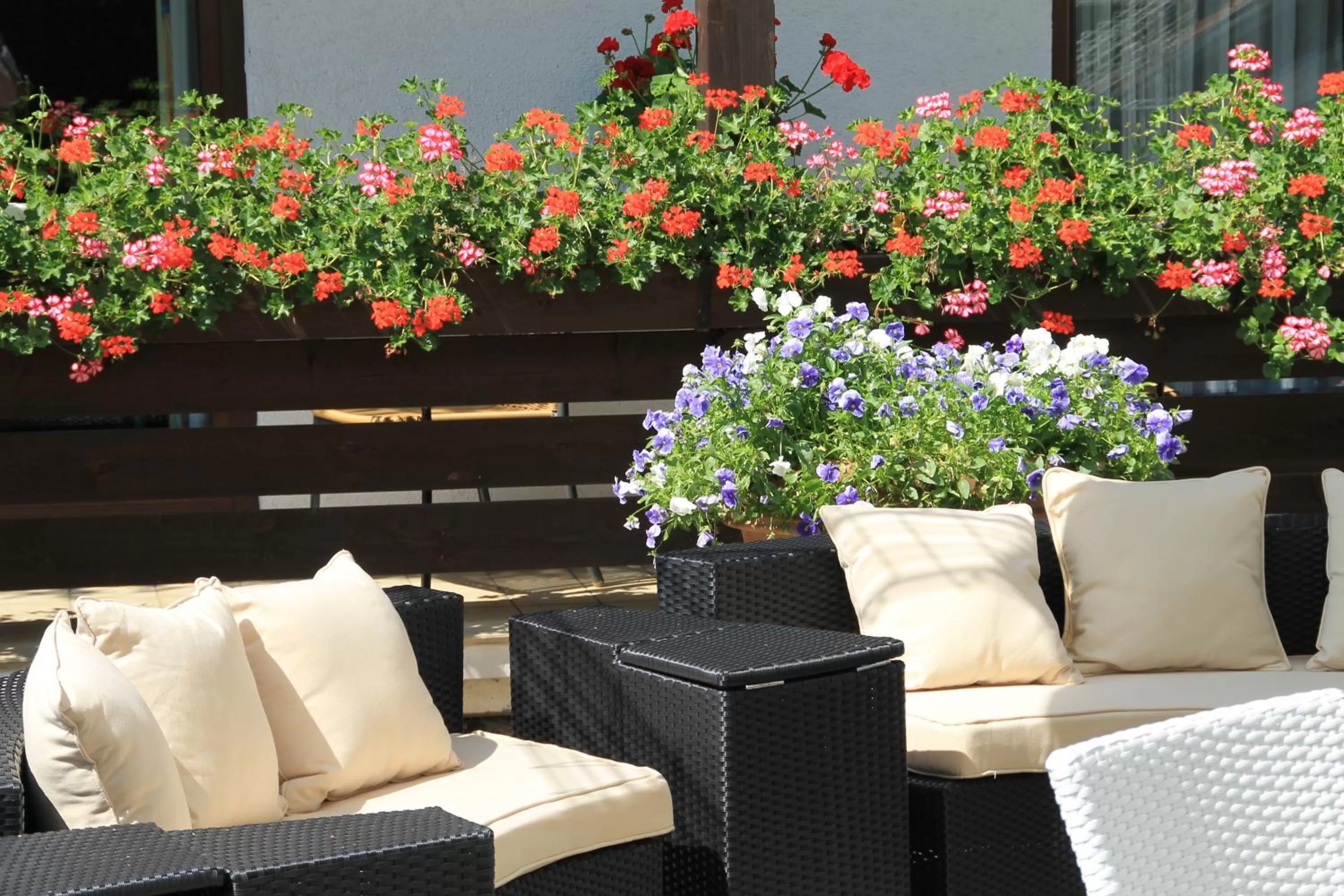 Restaurant/places to eat in Hotel Forsthaus