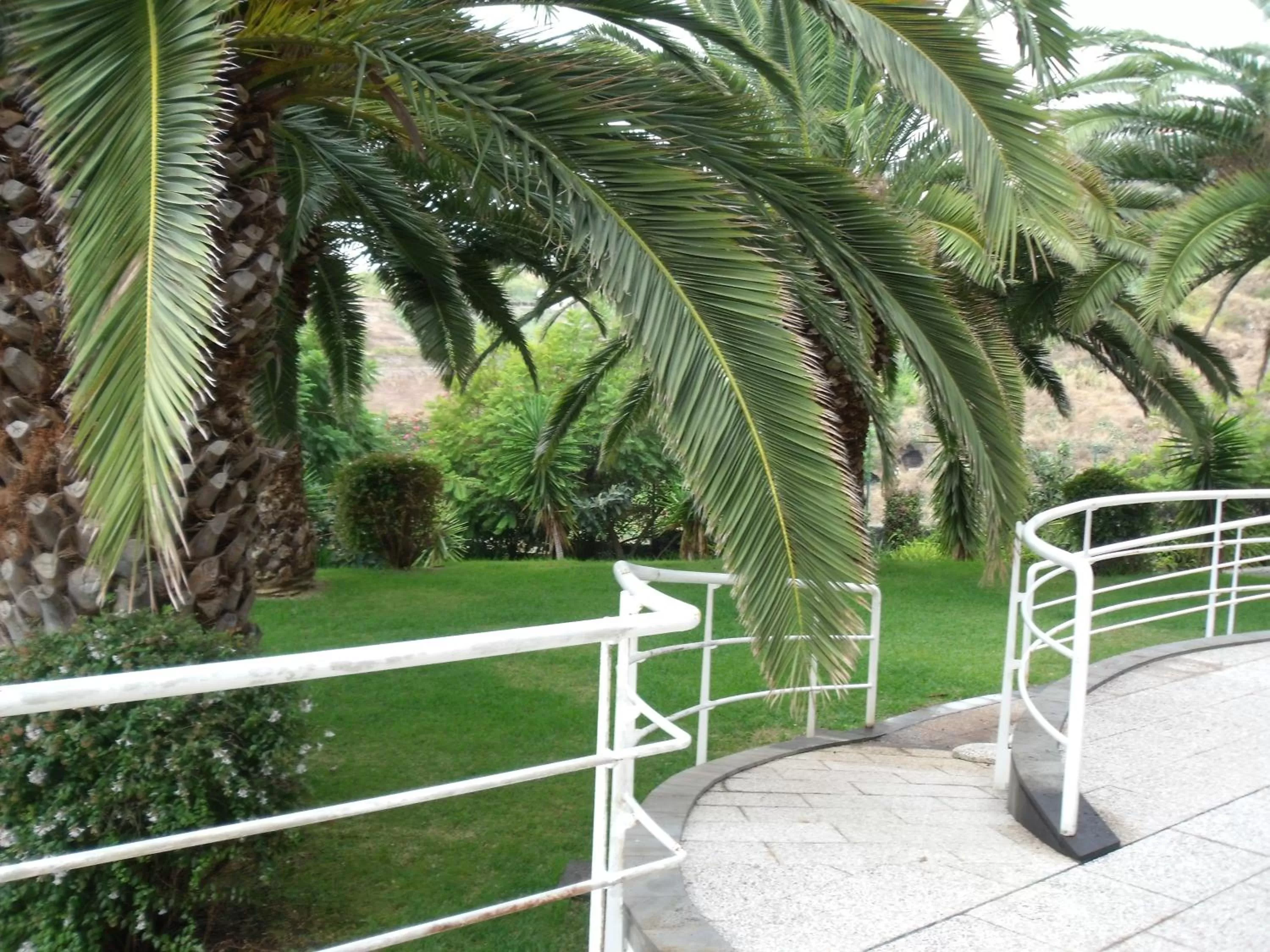 Garden in Hotel Escola
