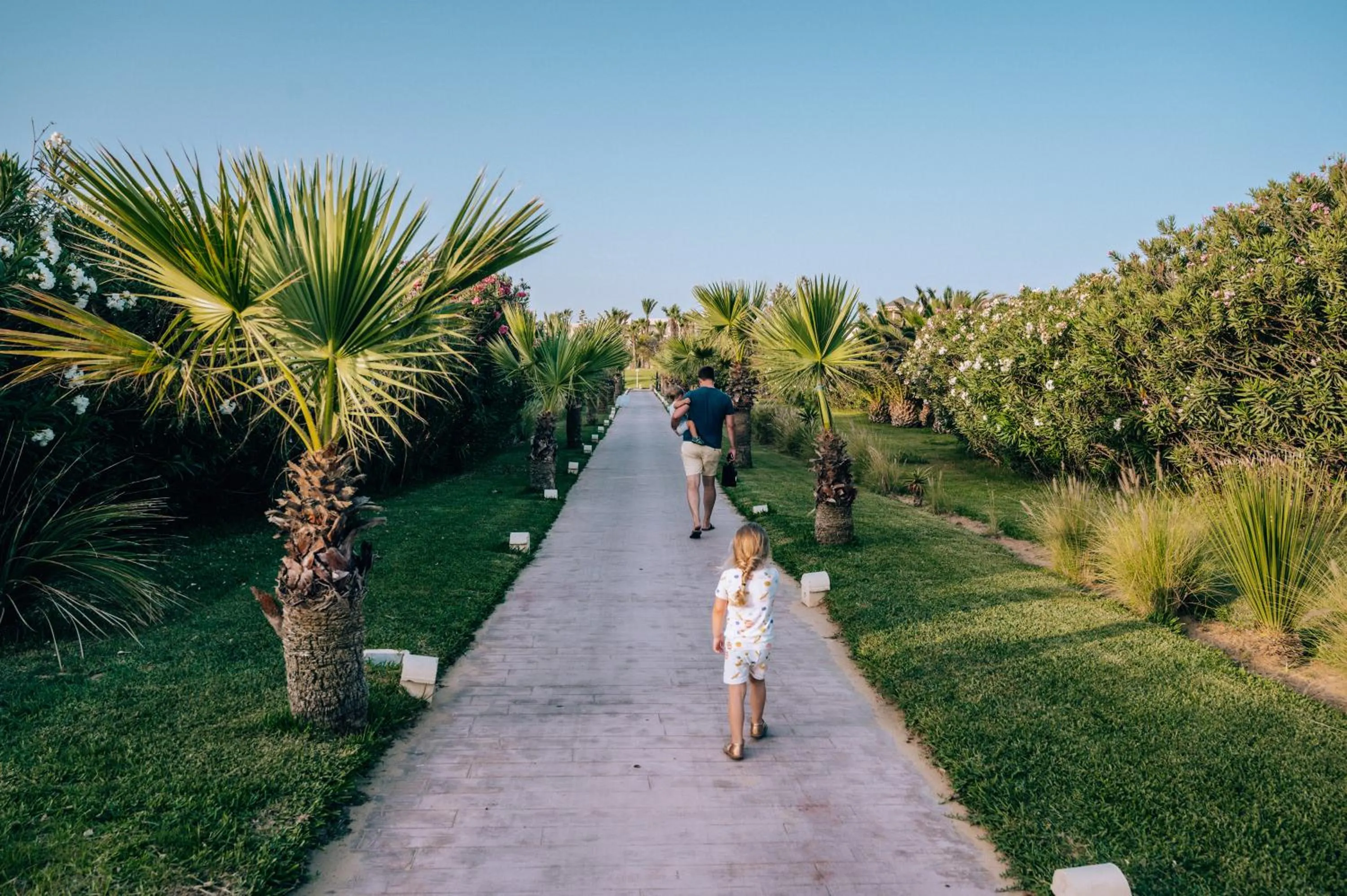 Garden in The Residence Tunis