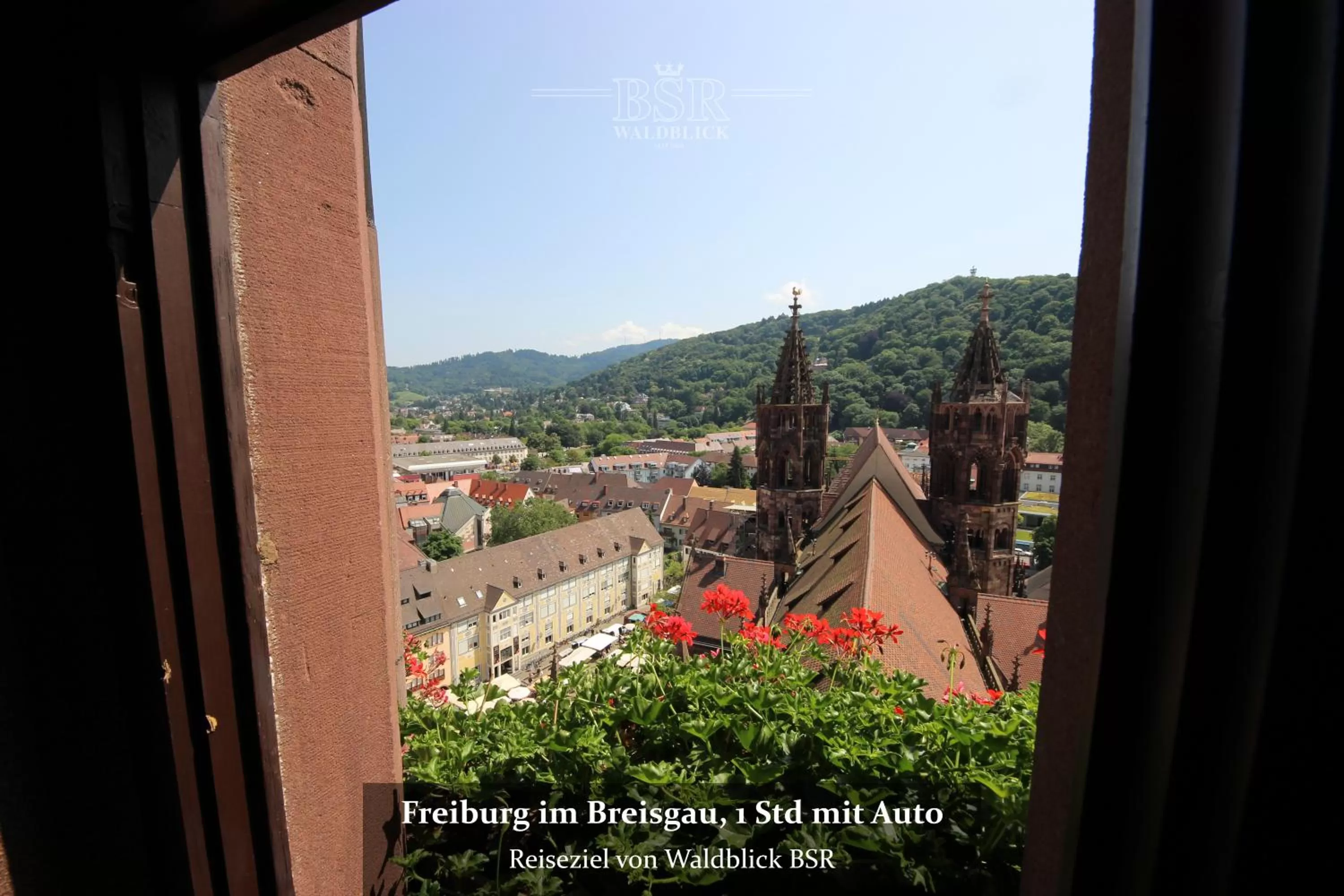 Nearby landmark, Mountain View in Hotel Waldblick