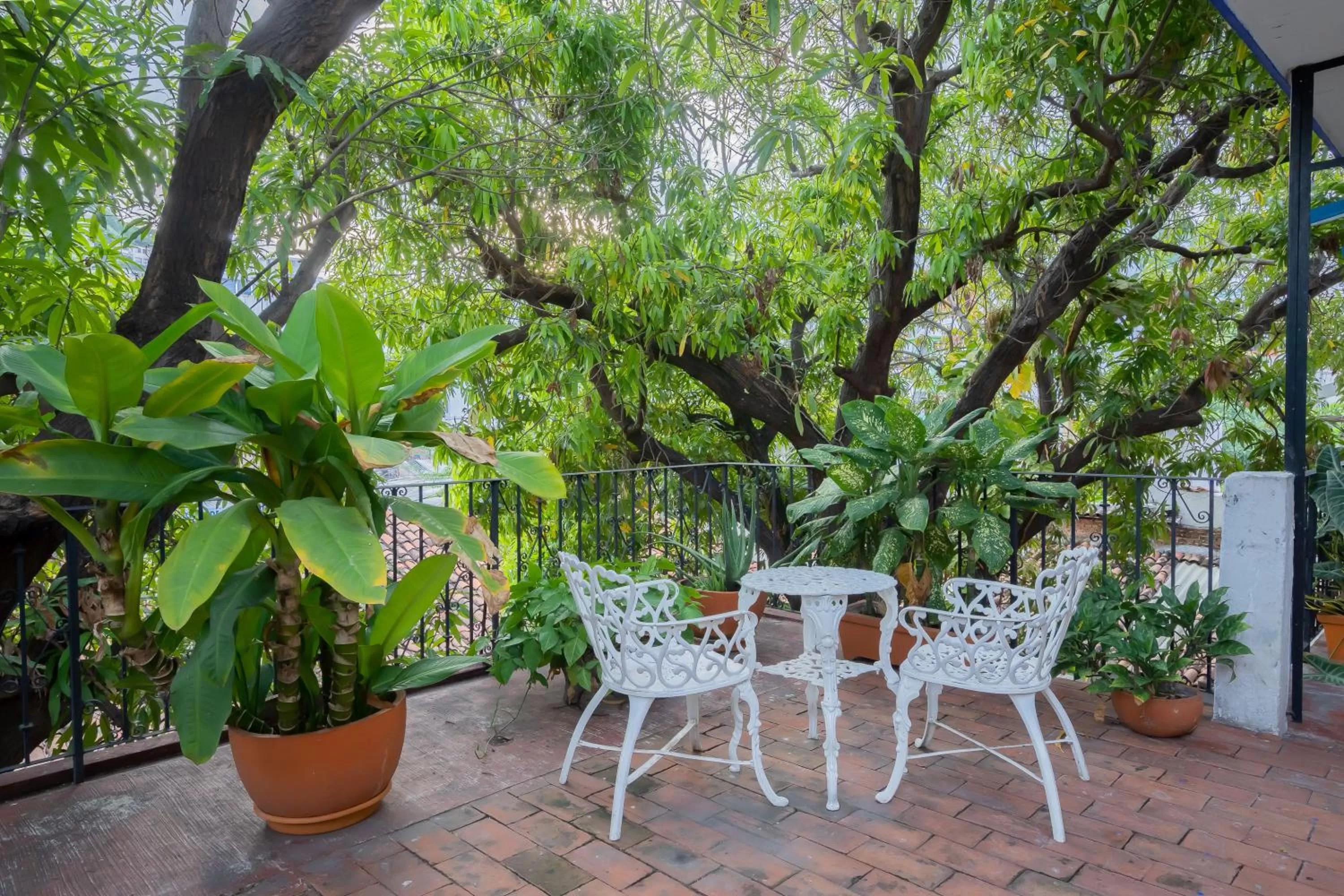 Garden in Hotel Mision, Acapulco centro