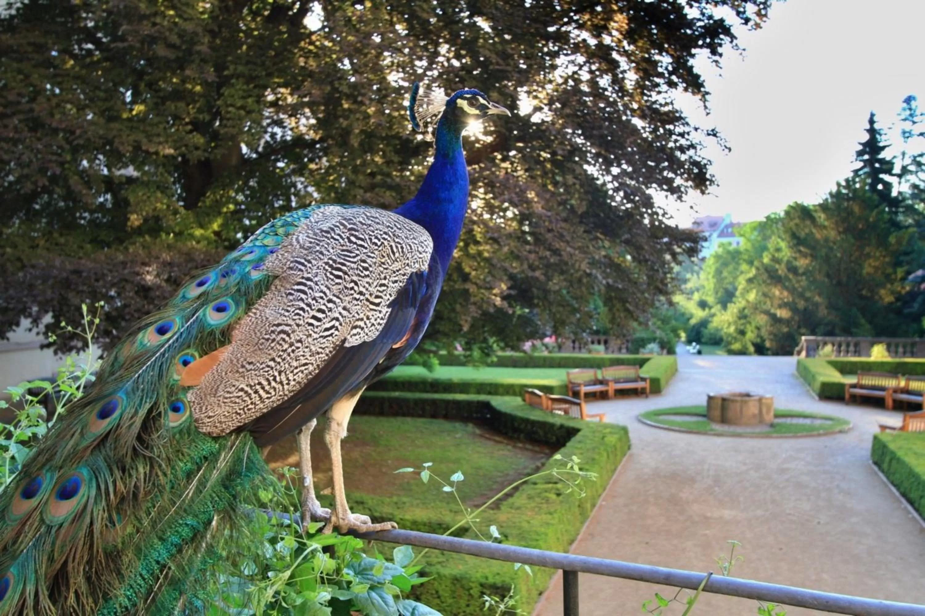 Neighbourhood in U Páva