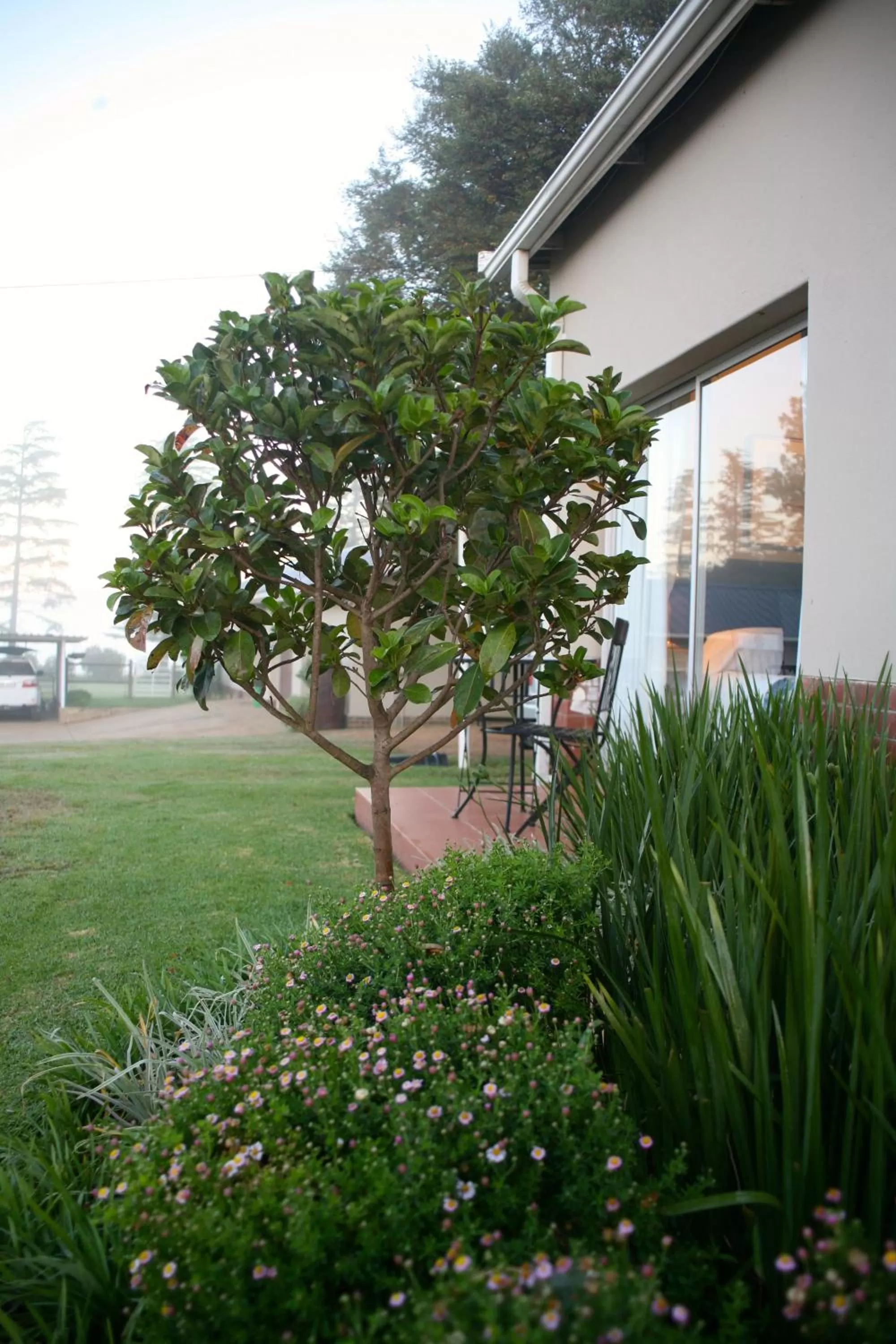 Garden, Property Building in Sneezewood Farm Bed&Breakfast and Self-Catering Cottage