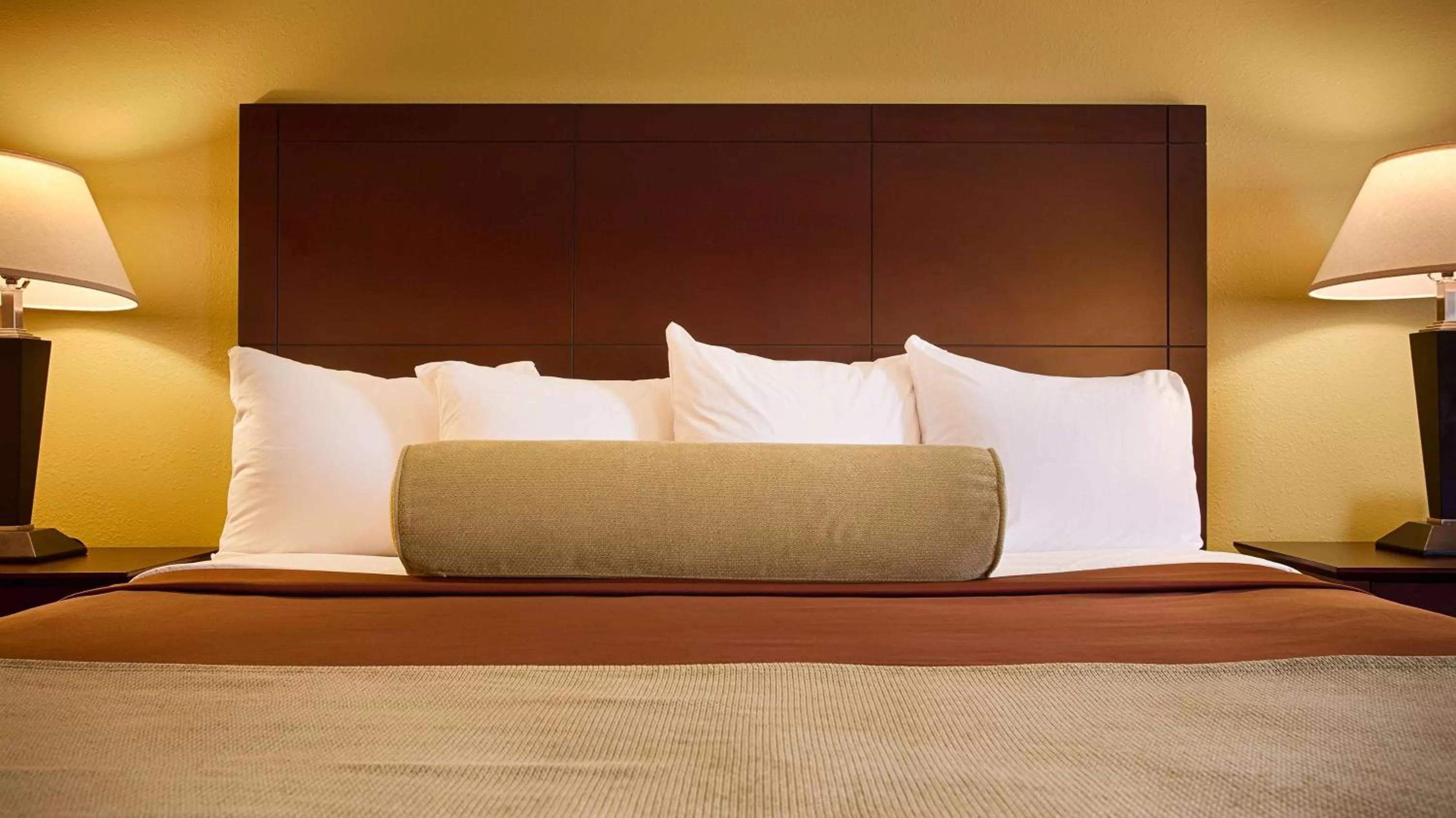 King  Room with Roll In Shower - Mobility Access/Non-Smoking in Best Western PLUS Executive Inn