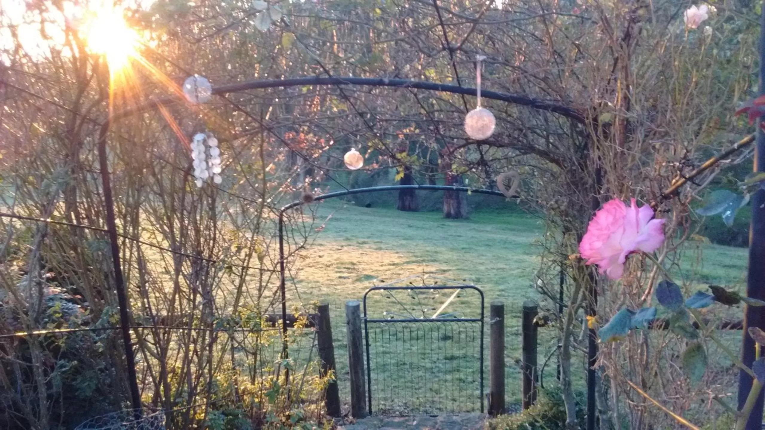 Winter in Rosewood Park Guest Suite