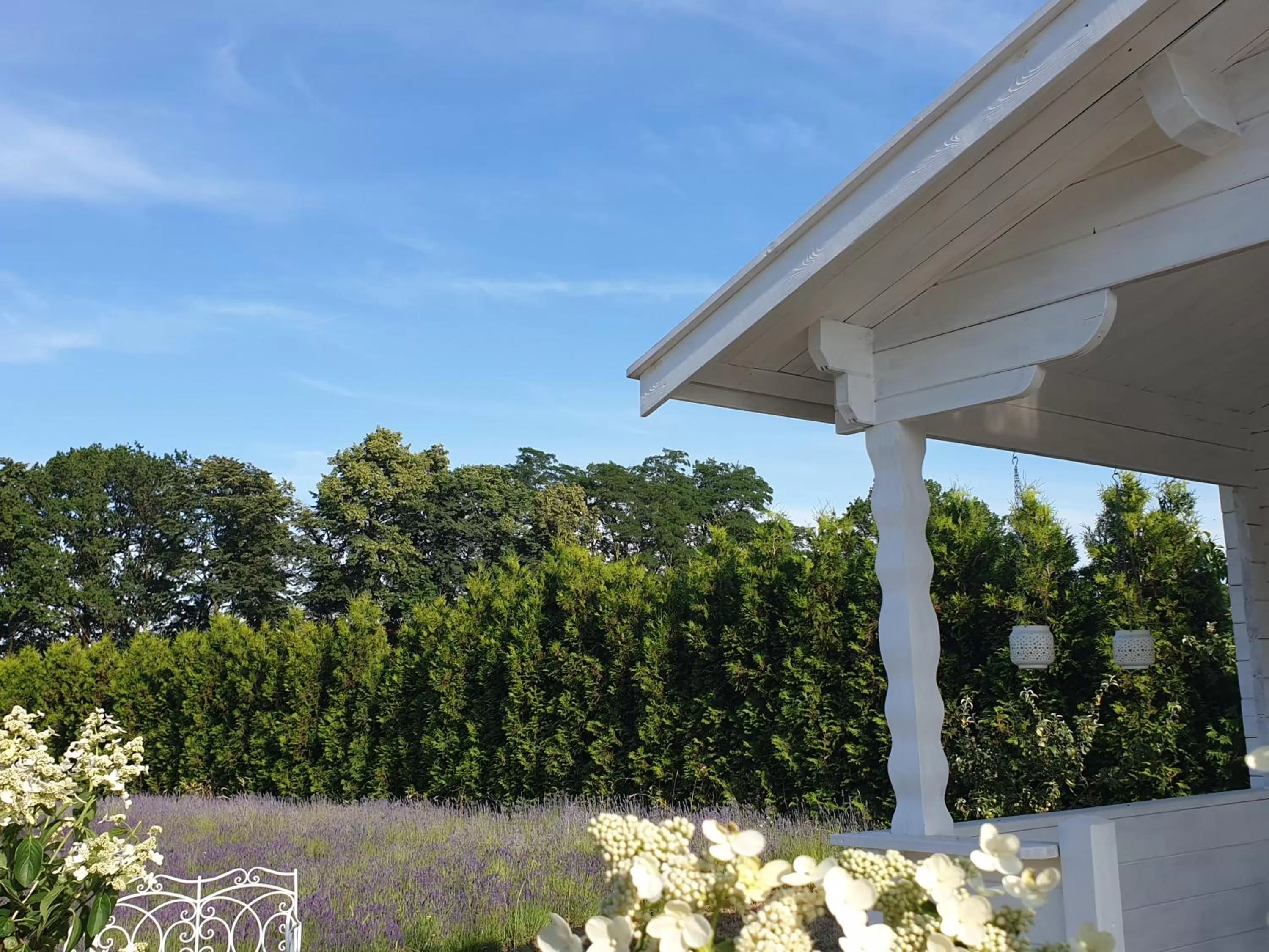 Garden in Noclegi Biała Róża