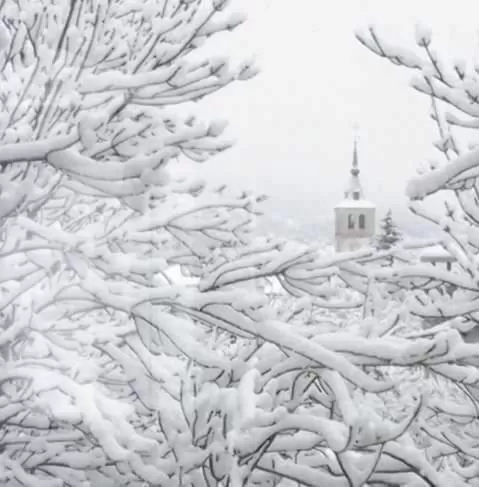 View (from property/room) in Posada el Campanario