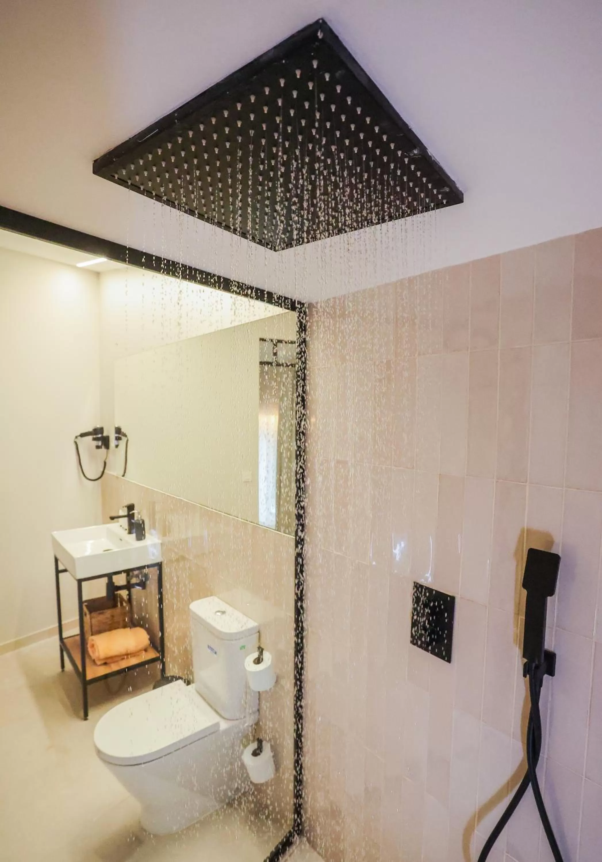 Toilet in Mythic Valencia