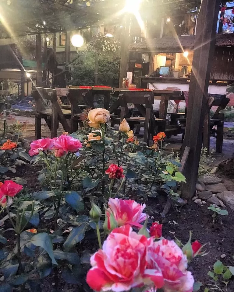 Property building, Garden in Troyan Plaza Hotel