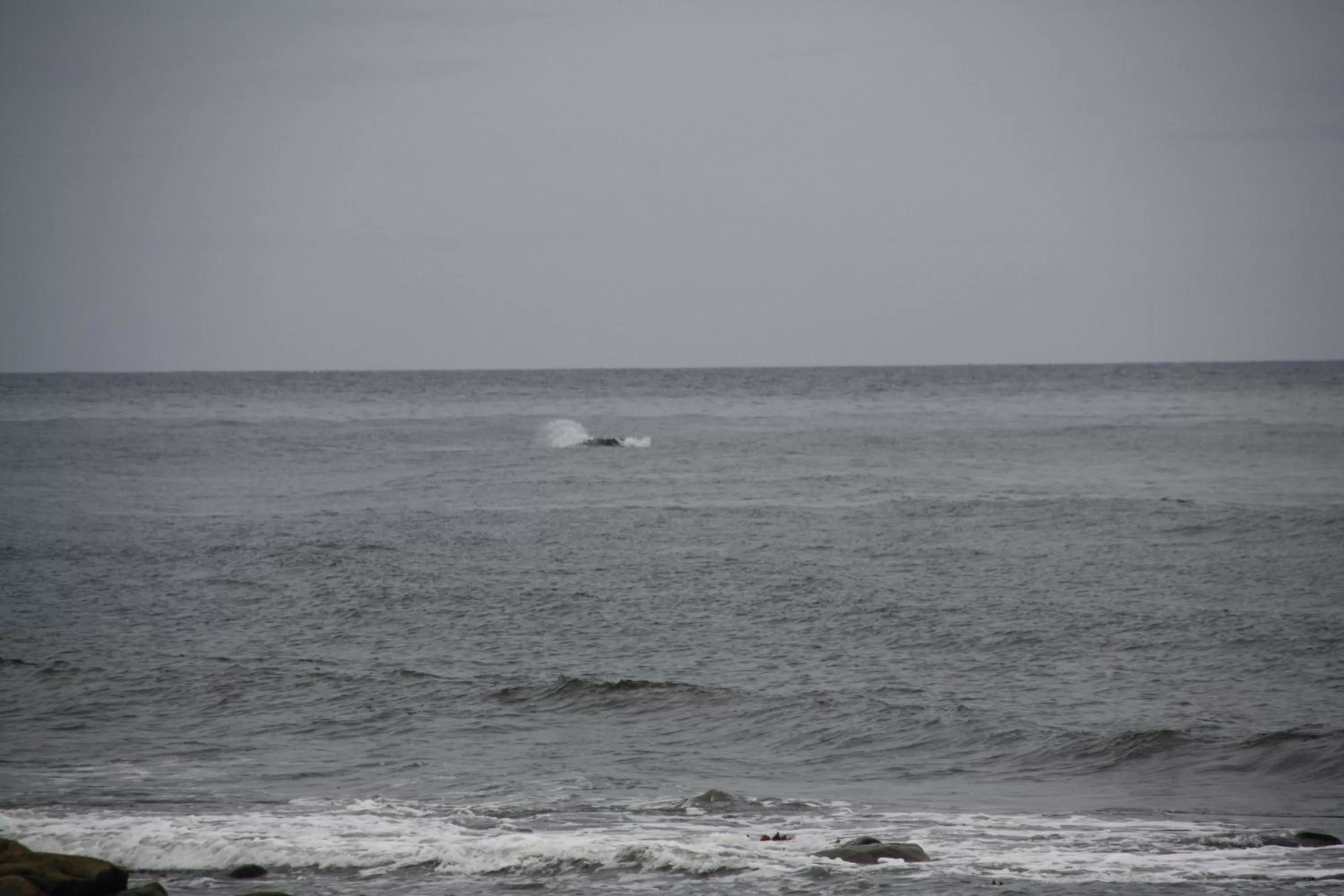 Sea view in La Maison entre Mer Montagnes