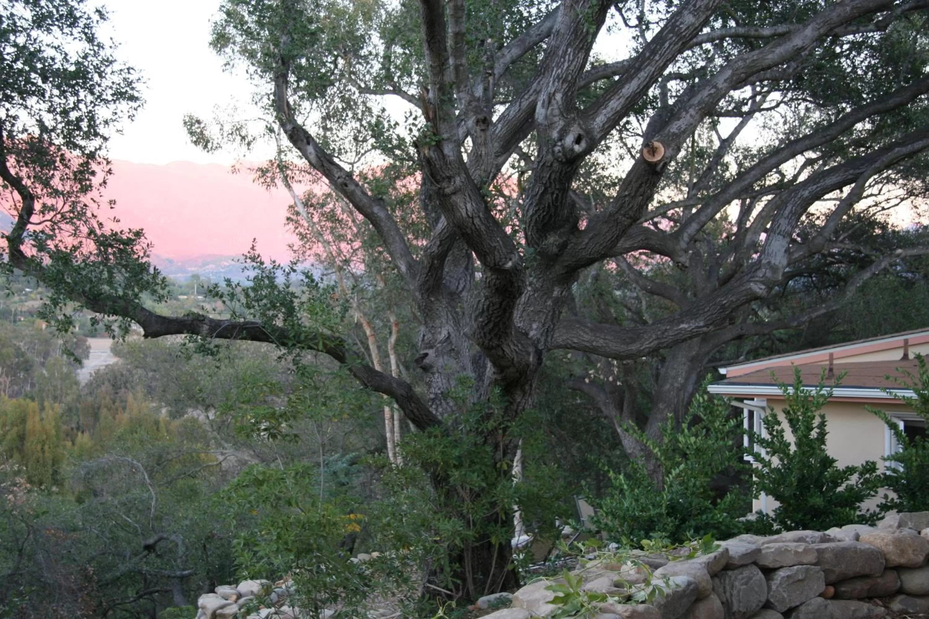 Natural landscape in Ojai Retreat & Inn