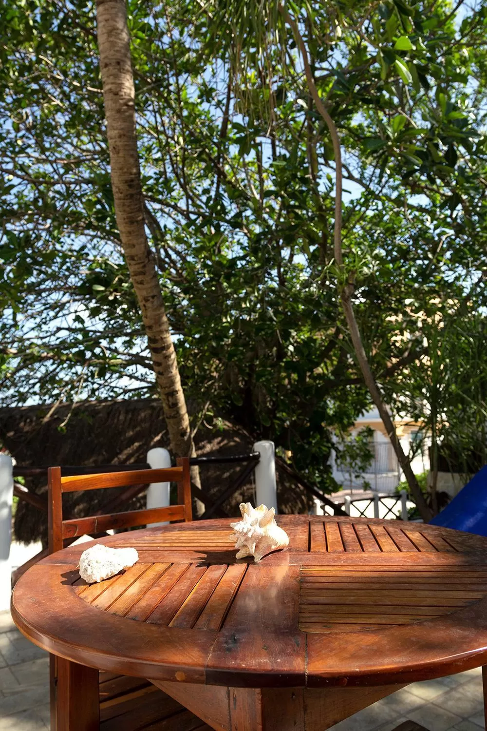 Balcony/Terrace in Hotel Amar Inn