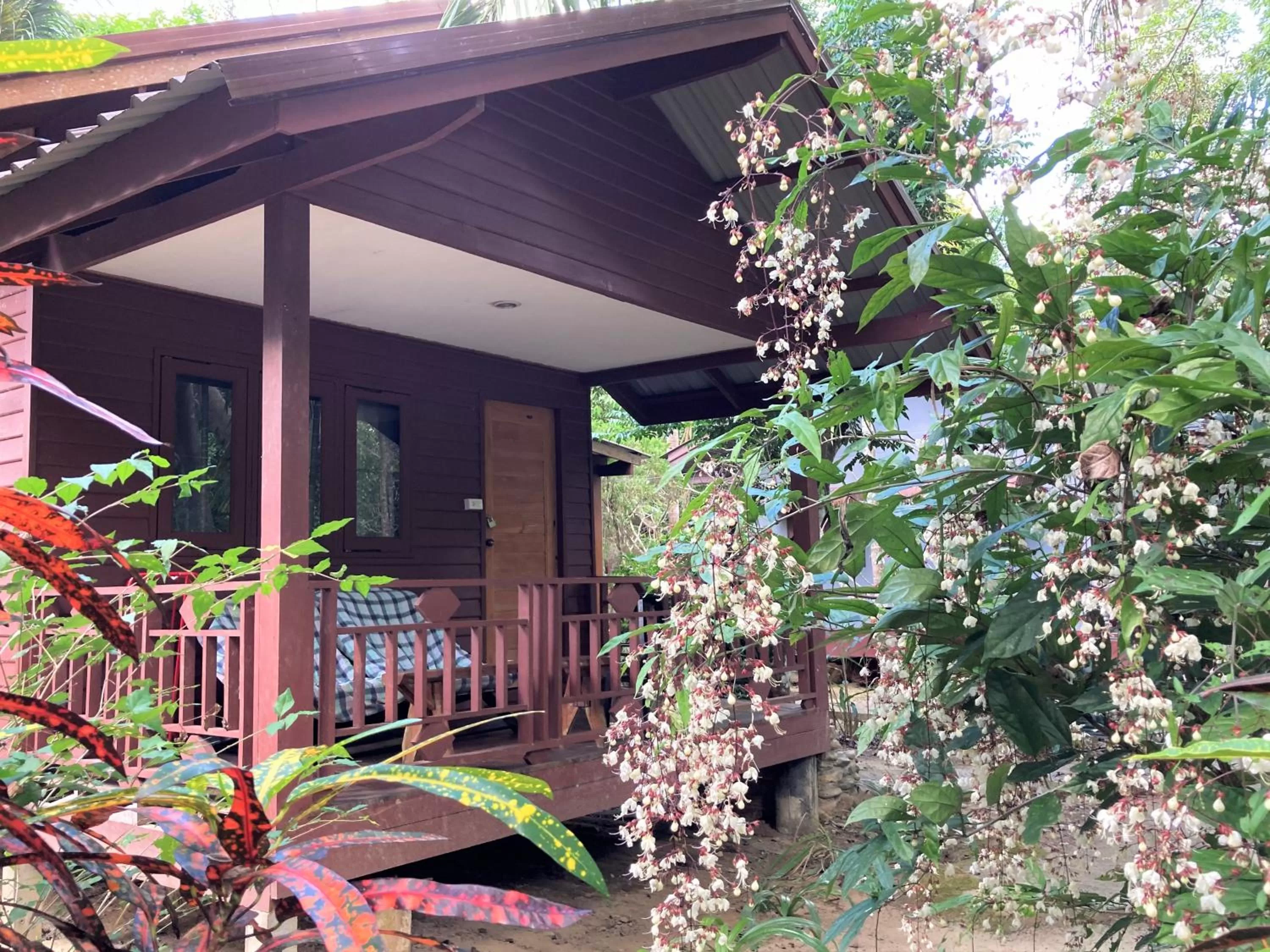 Property building in Khao Sok Morning Mist Resort