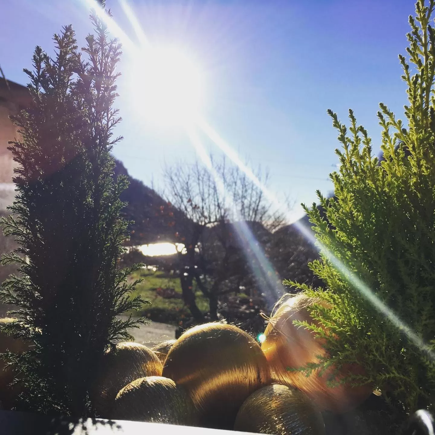 Lake view in B&B La Corte del Segrino