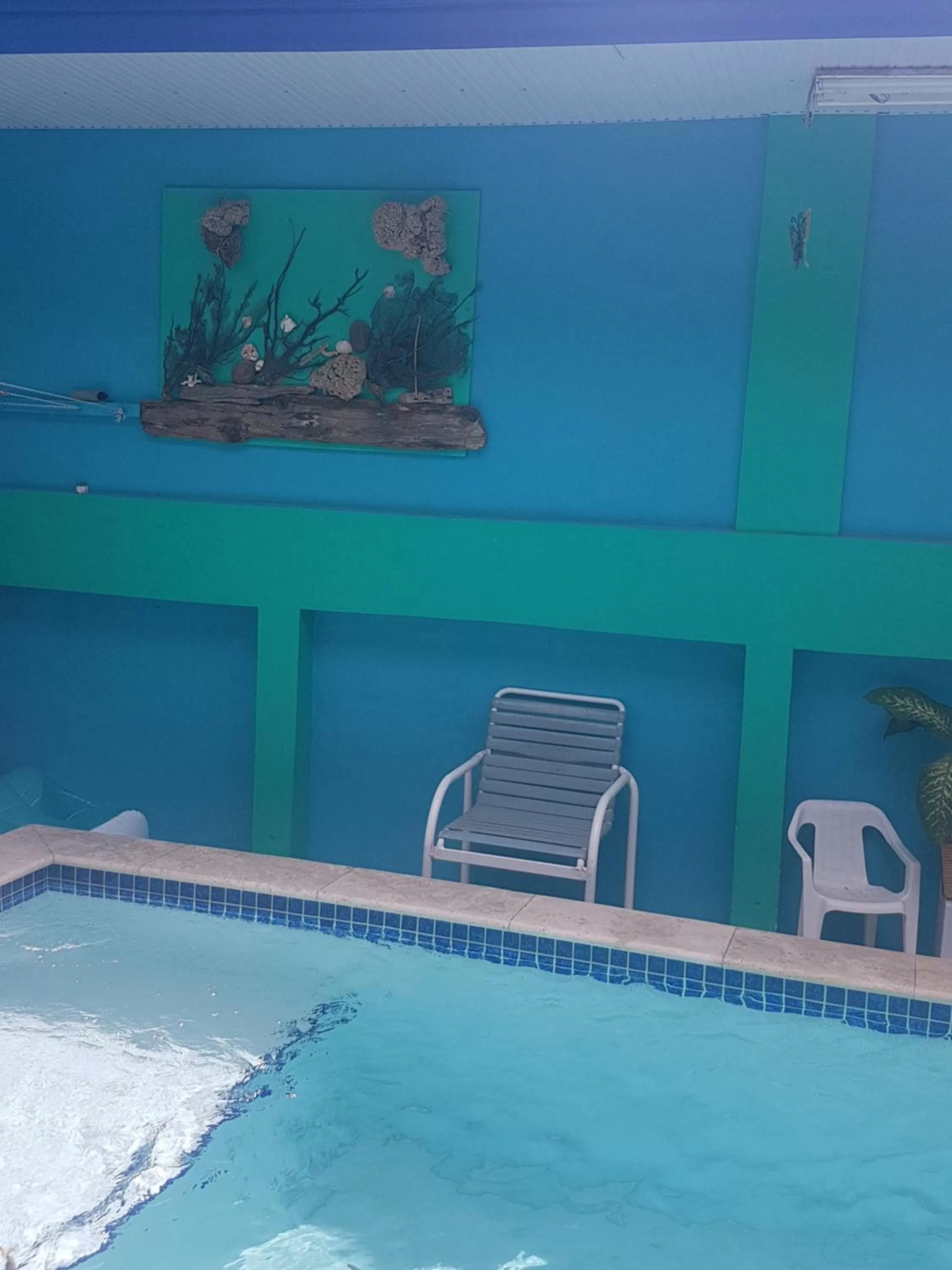 Pool view, Swimming Pool in A1 Apartments Aruba