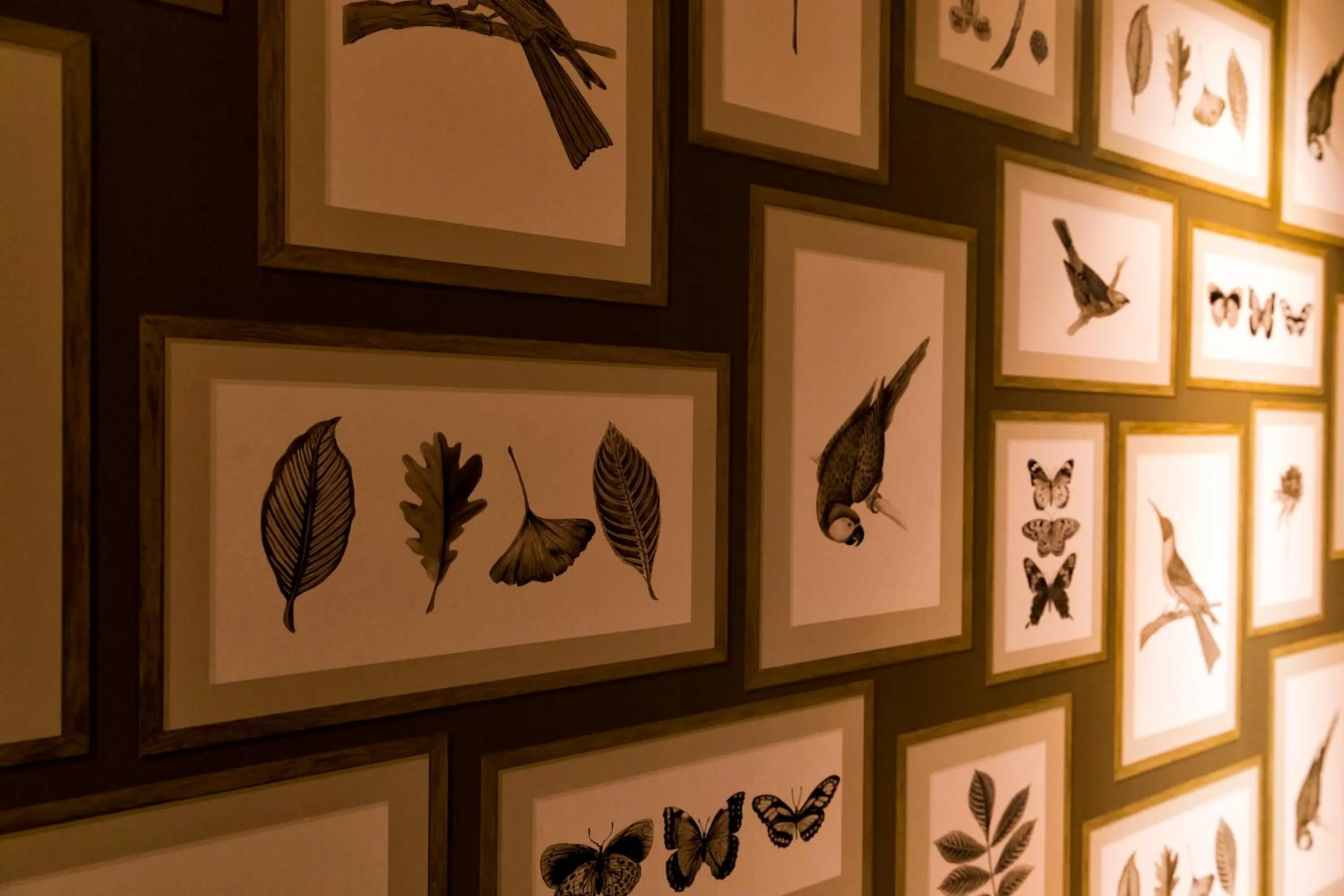 Other in Kitayuzawa Mori no soraniwa