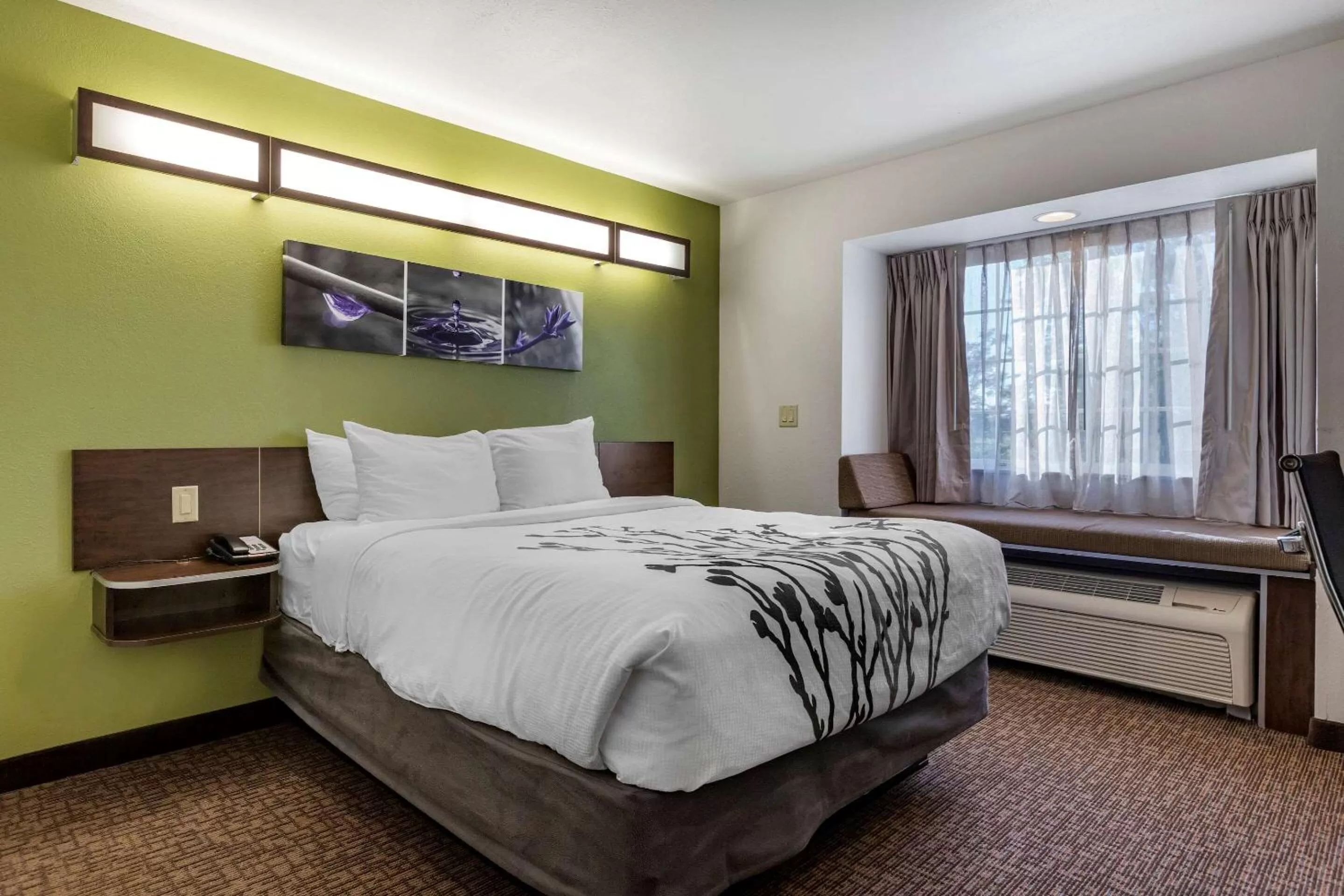 Bedroom, Bed in Sleep Inn & Suites Kalamazoo Southwest