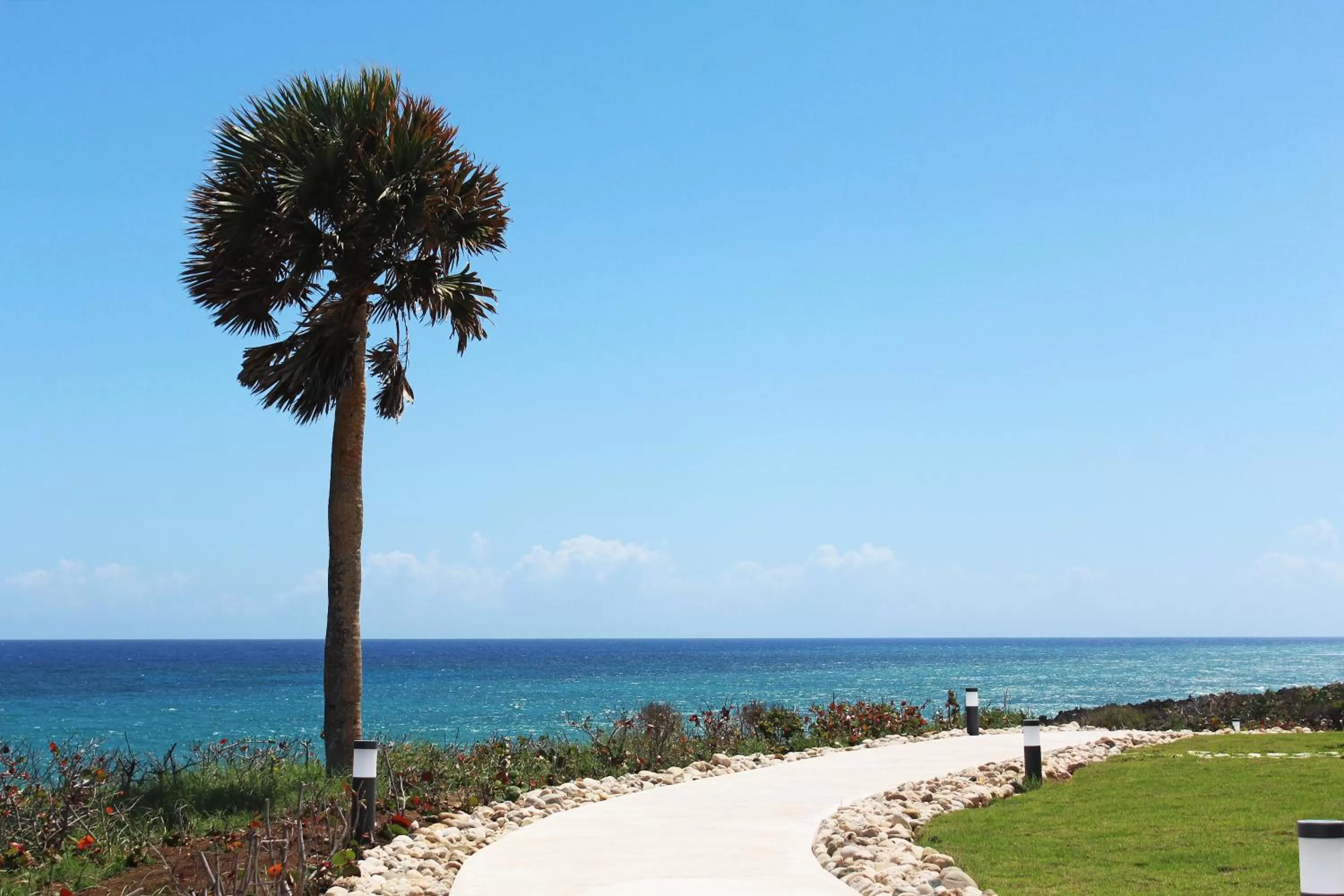 Natural landscape in Ocean Village Deluxe Resort & Spa