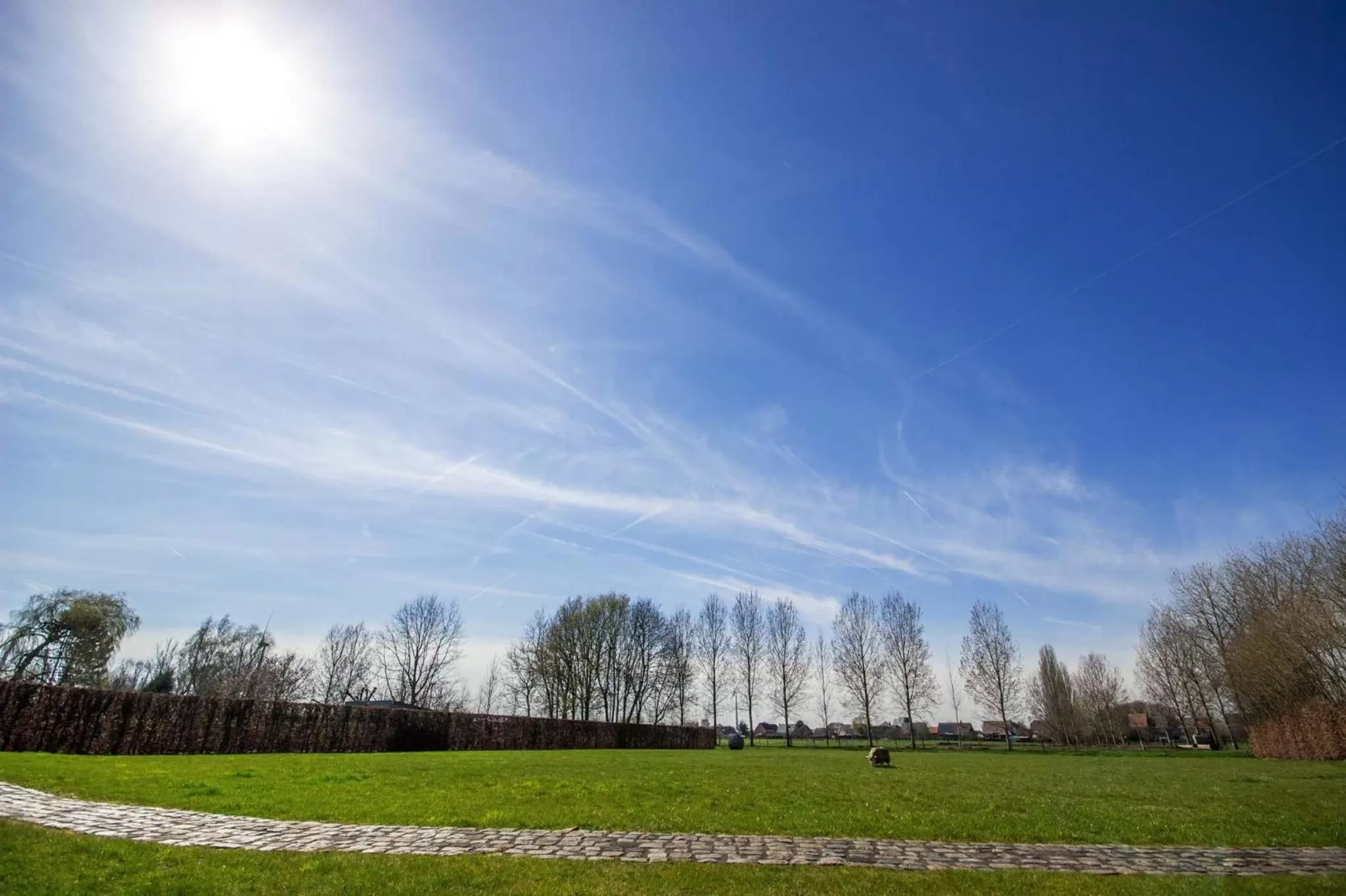 Garden in Casa Cava B&B