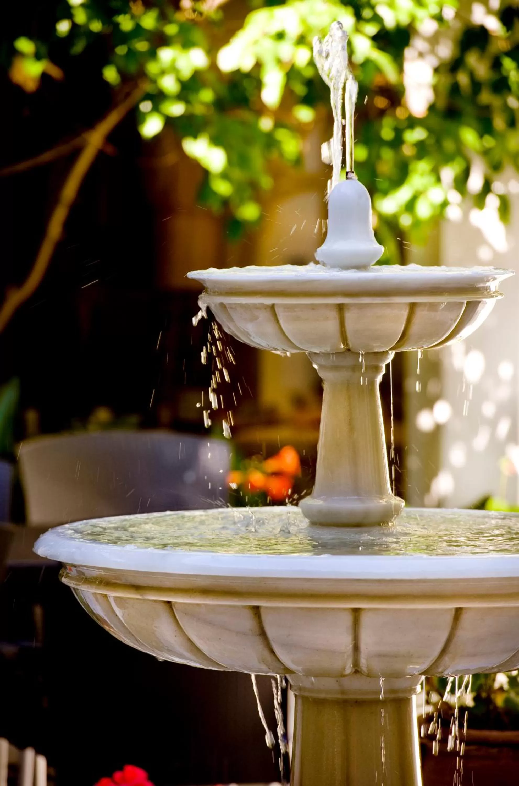 Solarium in Alborán Algeciras