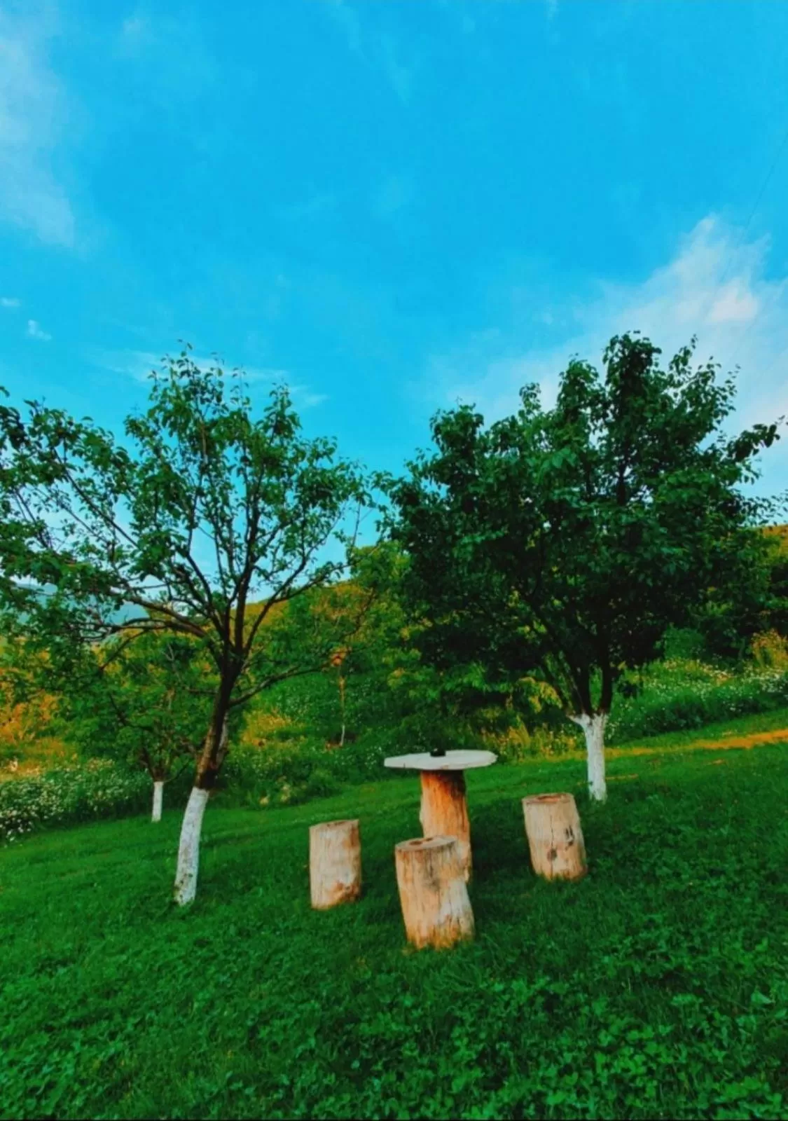 Spring, Garden in Guest house Ijevan's Garden