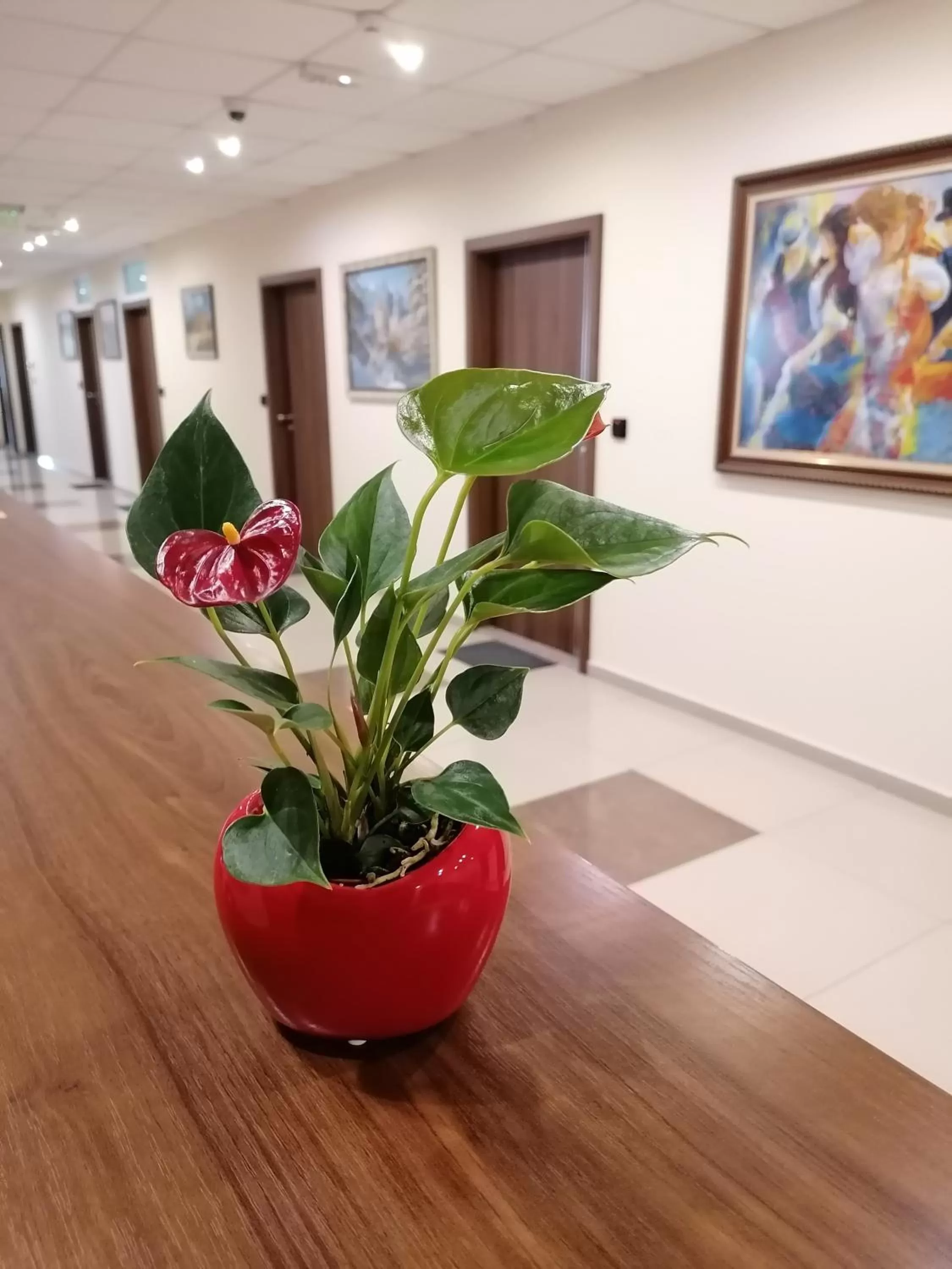 Property building in Hotel Lago Peshtera