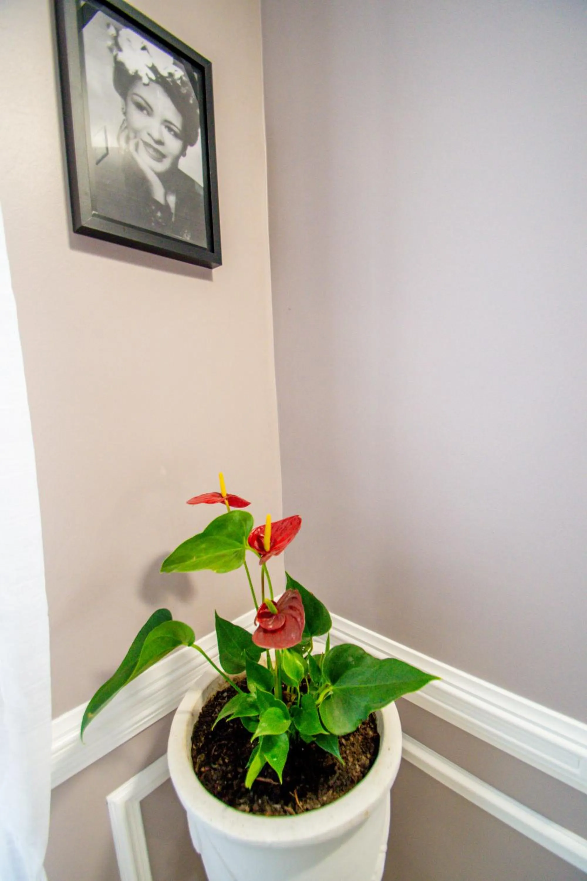 Decorative detail in Hôtel Parisien