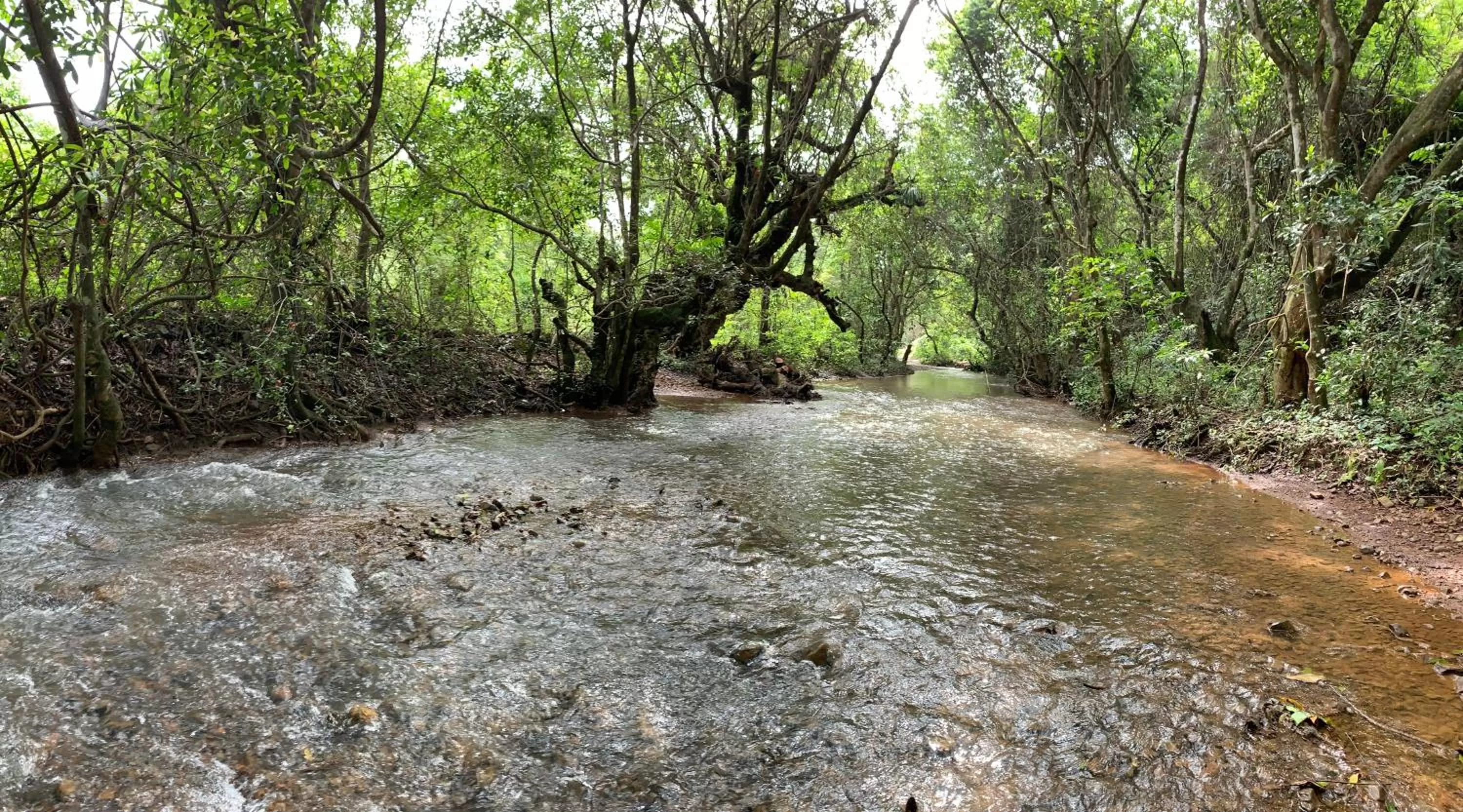 Natural landscape in Porsu