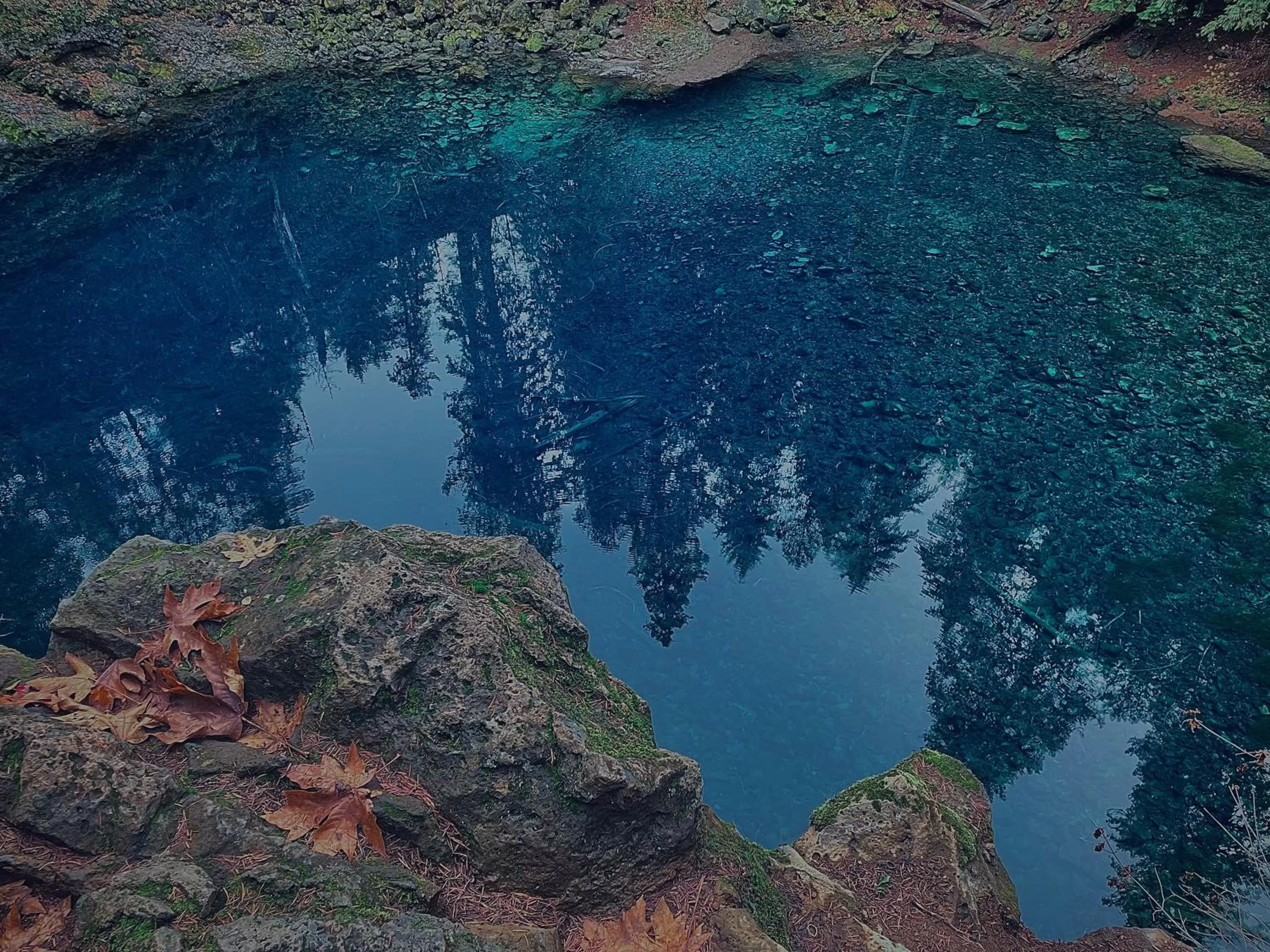 Nearby landmark in Smith Rock Resort