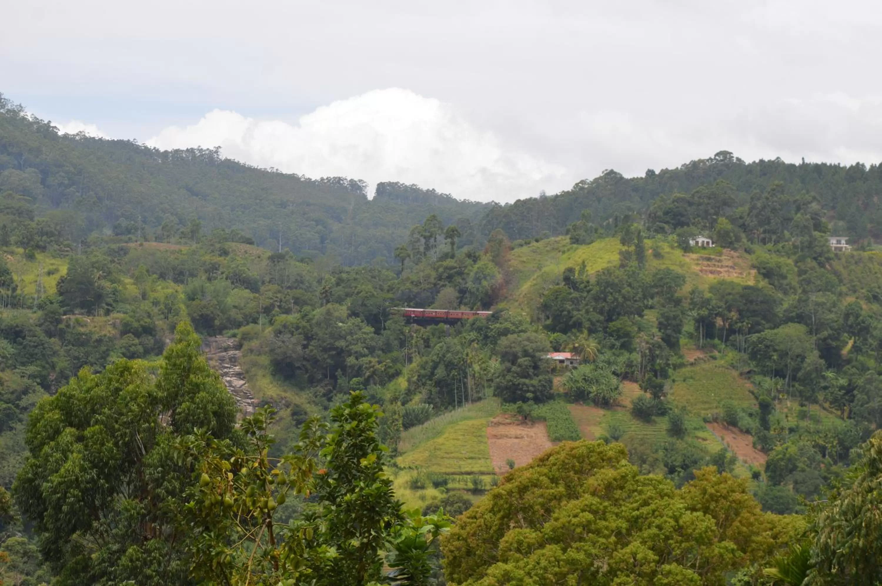 Natural Landscape in Heavens Seven