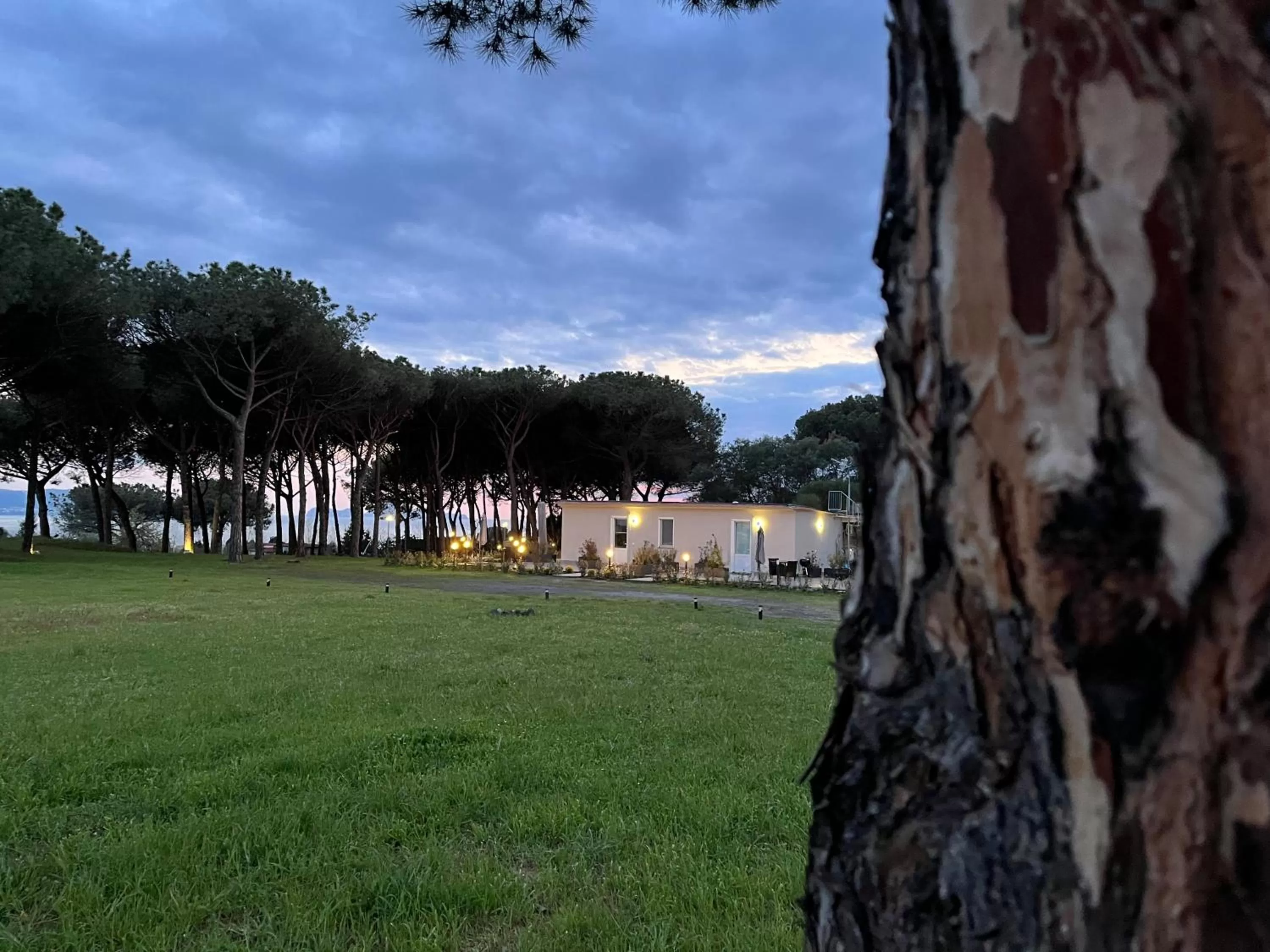 Property building in Bosco Mattavona