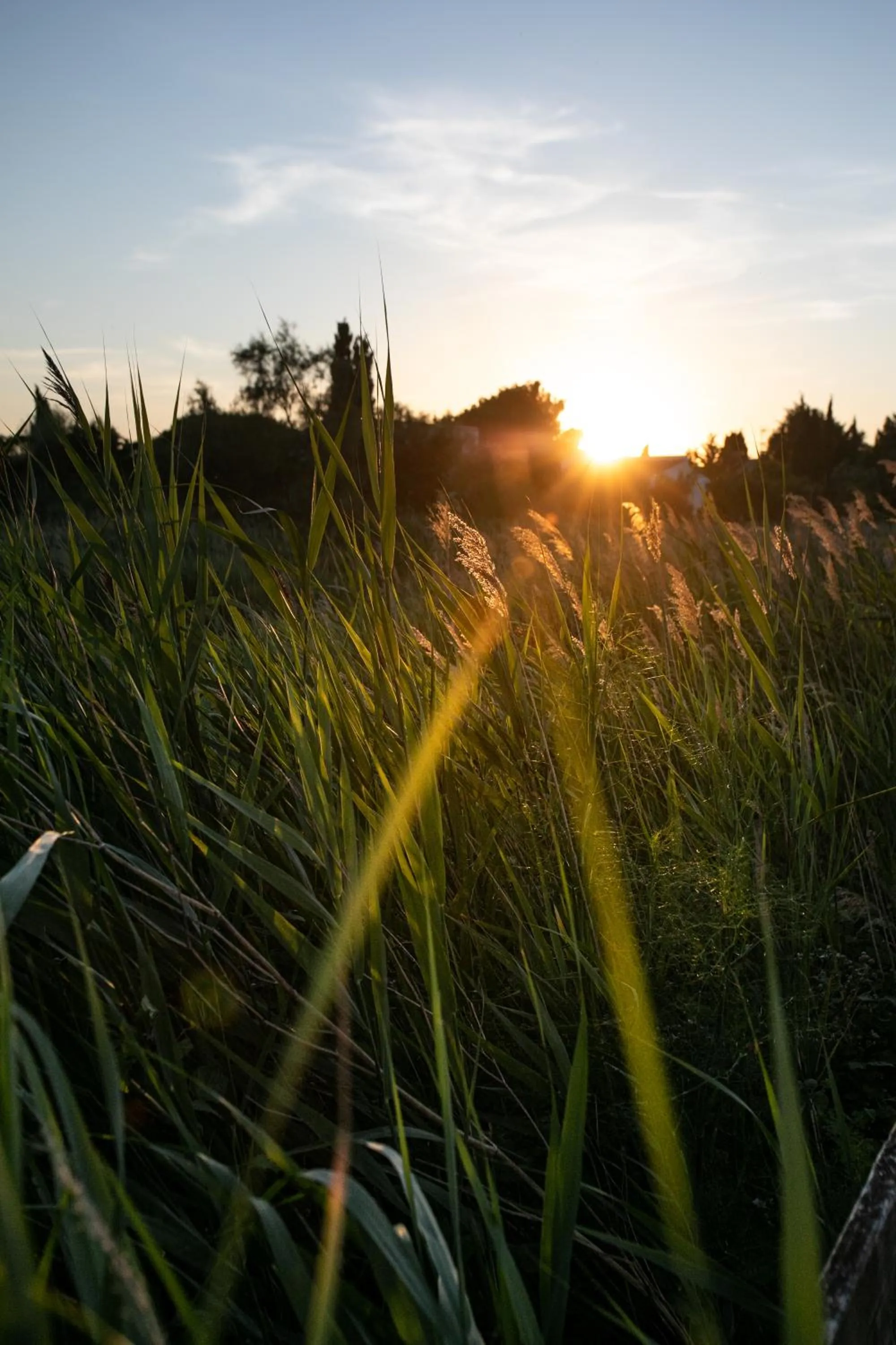 Sunset in Le Mas de Cocagne