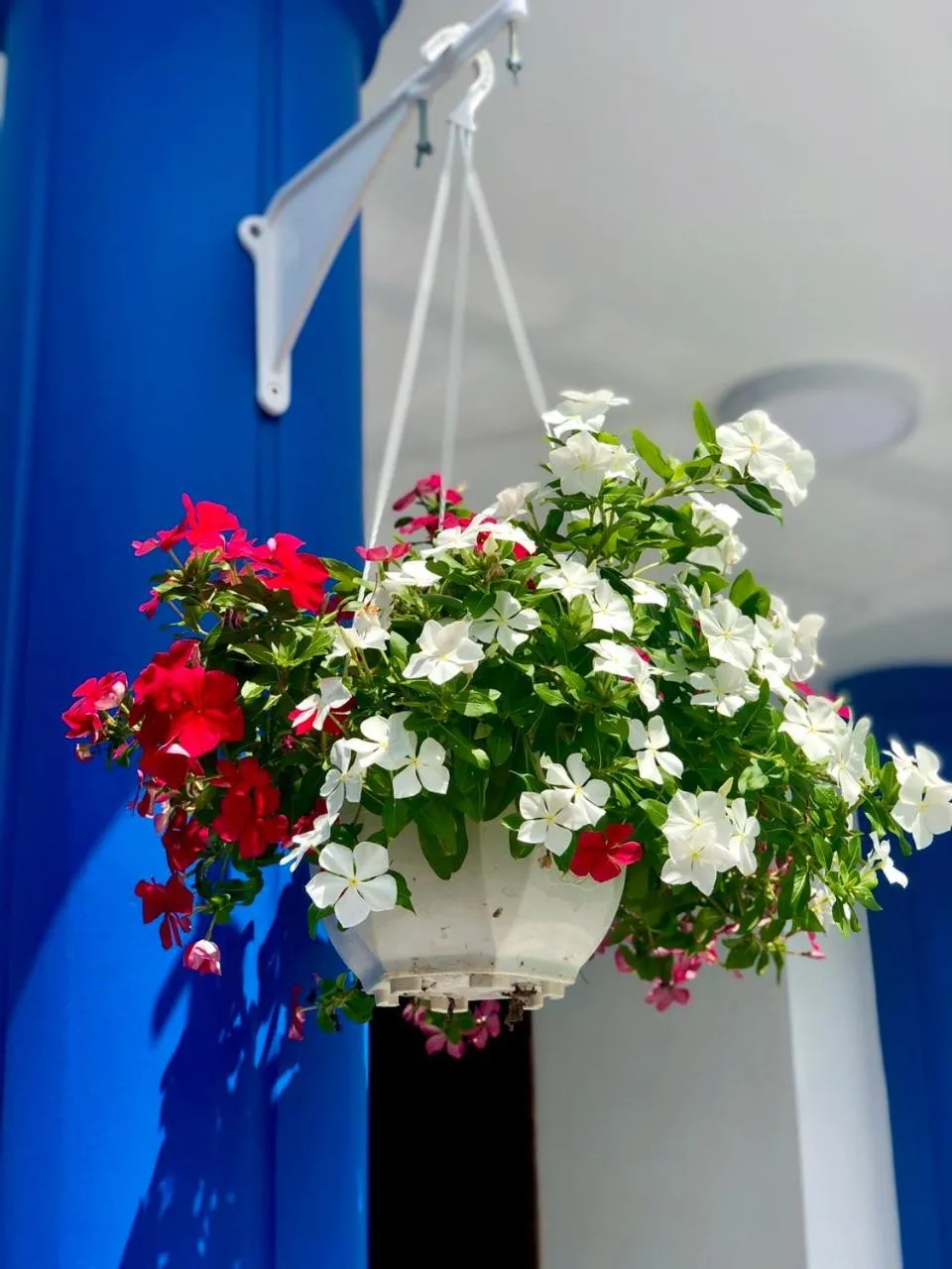 Balcony/Terrace in La Vita Hotel